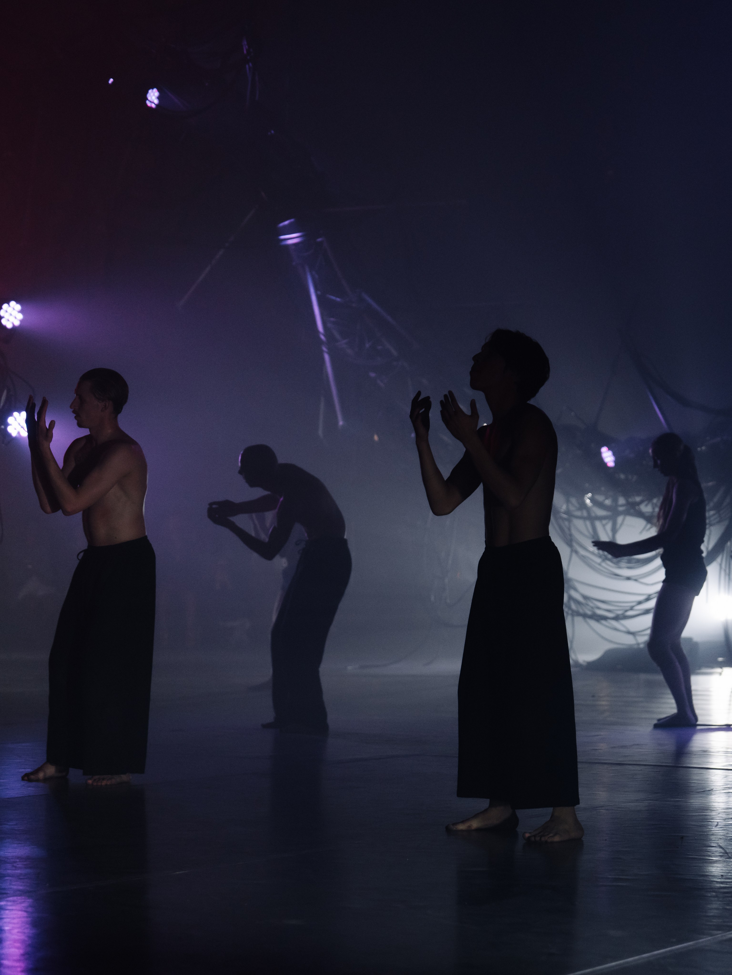 PERFORMA, The Hour of the Horse. @tomrus: Рустам Шагиморданов — фотограф