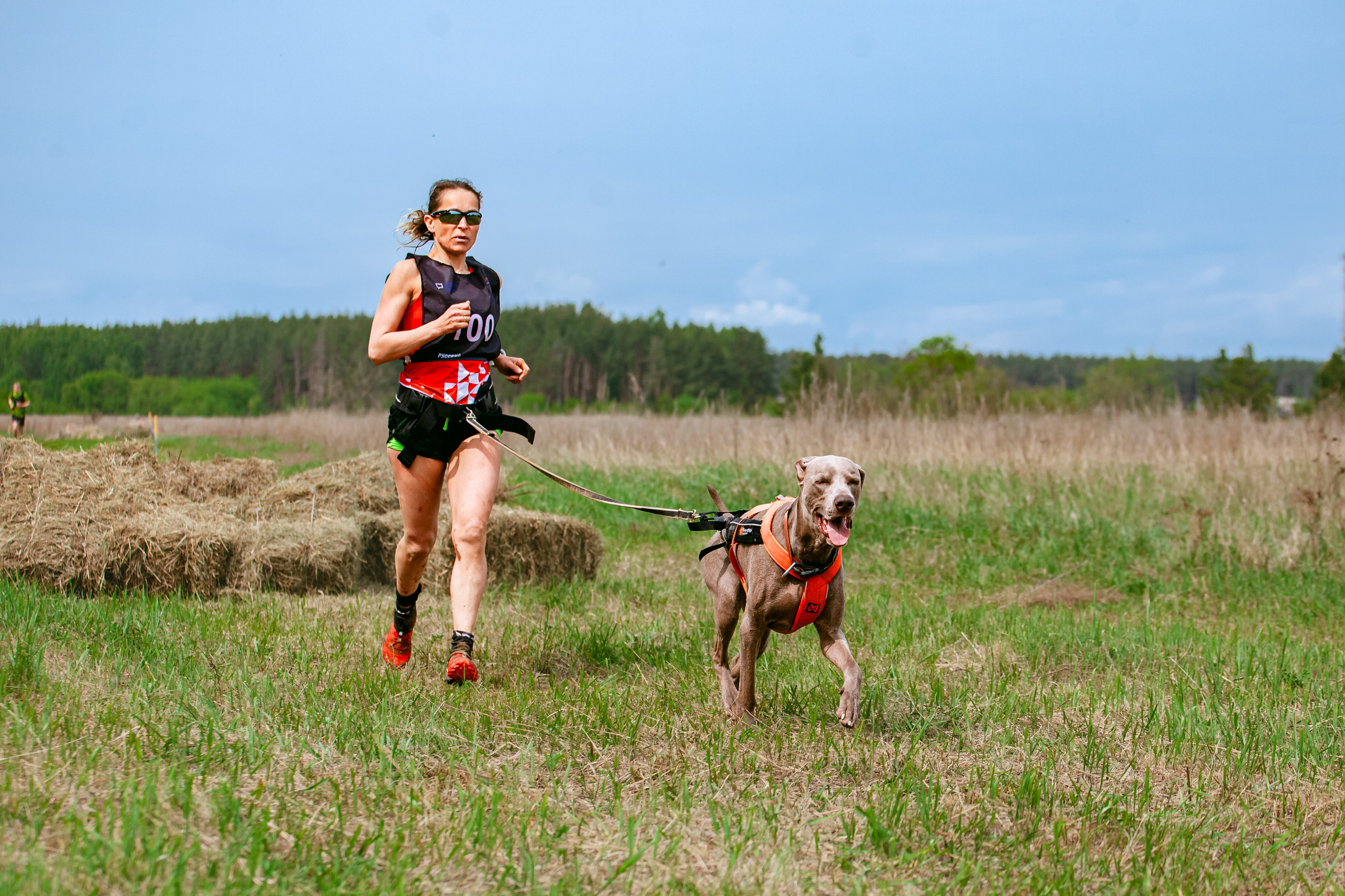 Русский экстрим кросс в Рязанской области 17.05.2025. Фотограф-анималист Татьяна Степанова