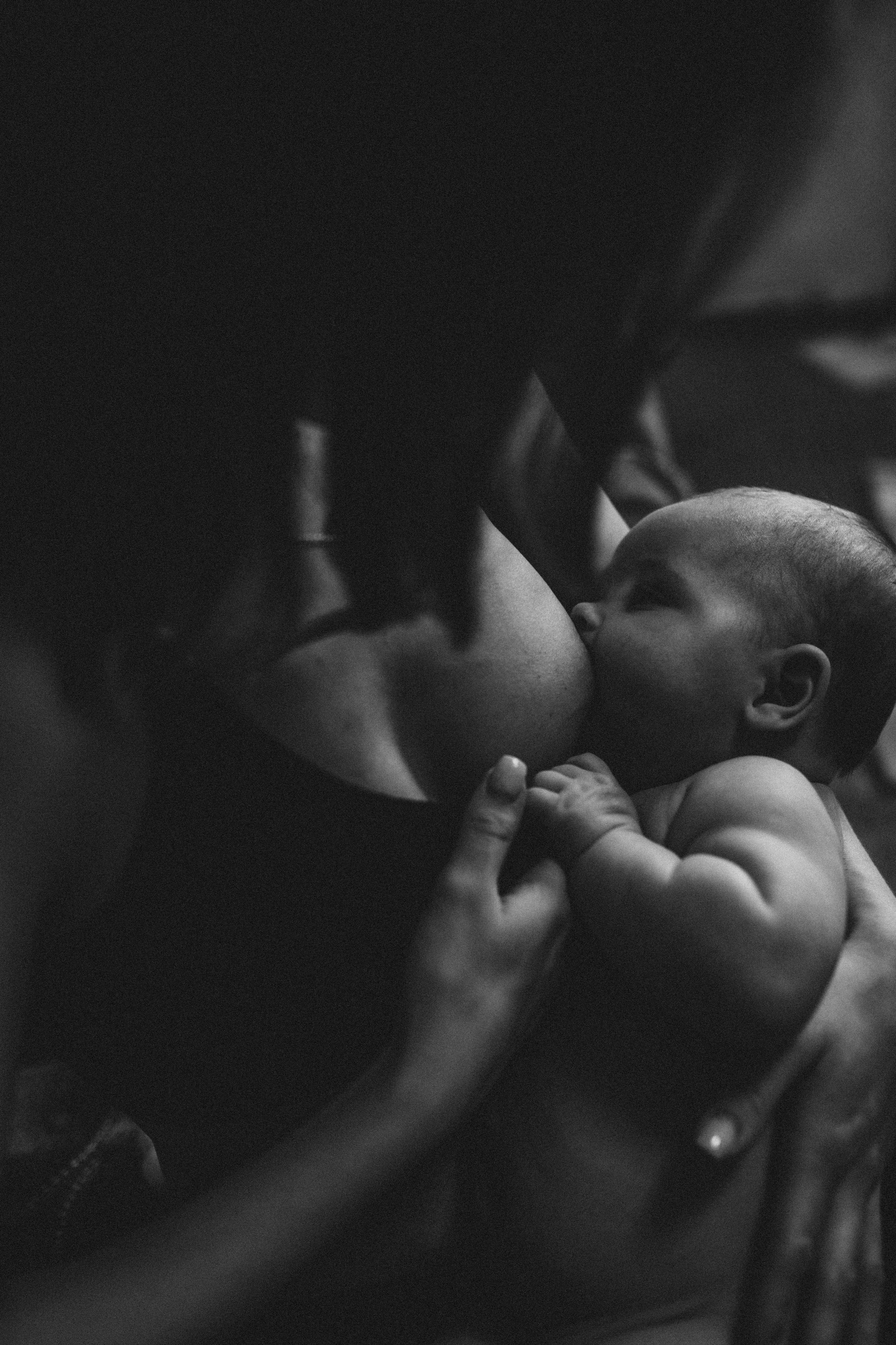 Семейный фотограф Елена Клименко (Sunlight)