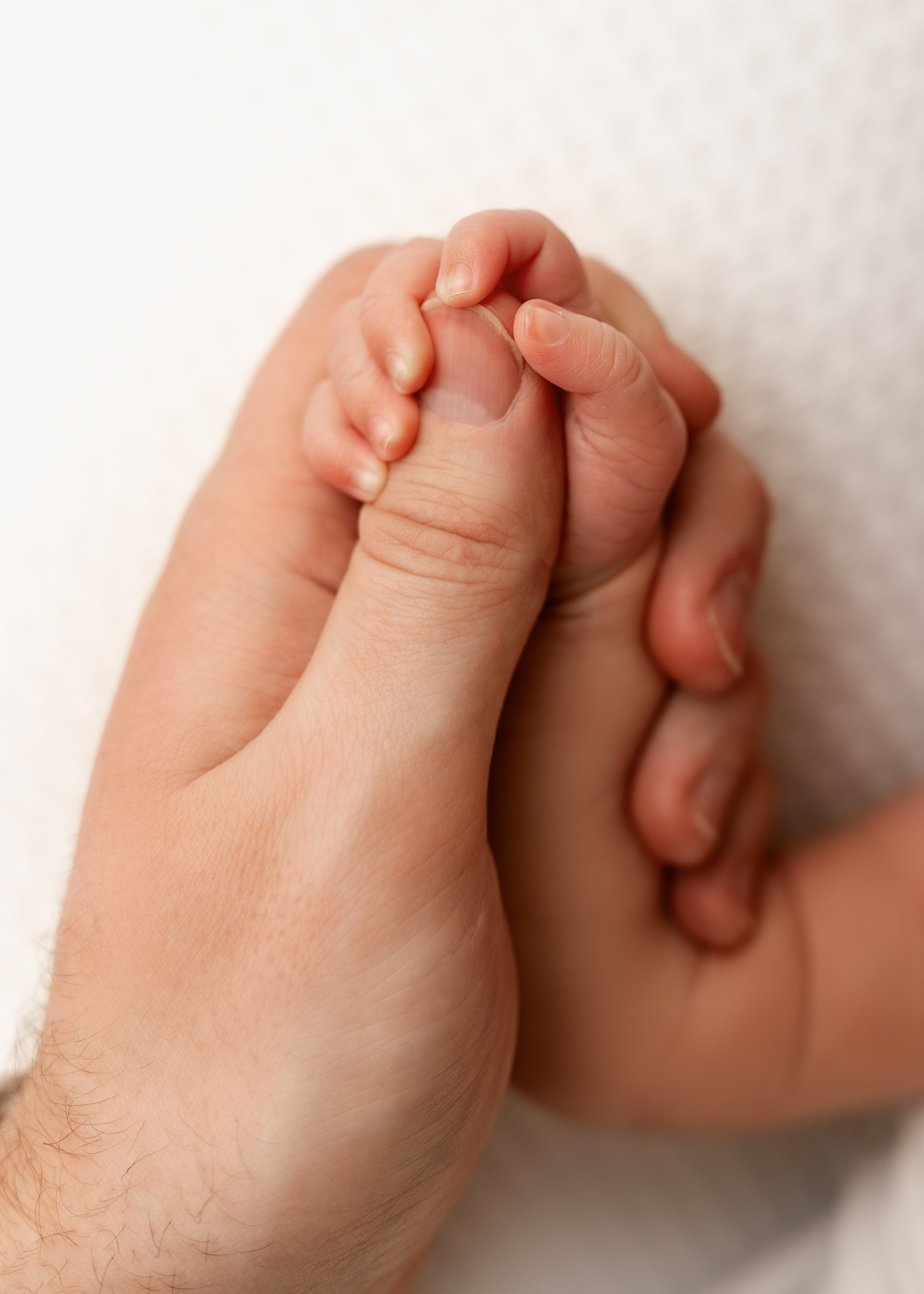 Фотосъёмка новорожденных. Фотограф Беременности и Новорождённых в Кемерово