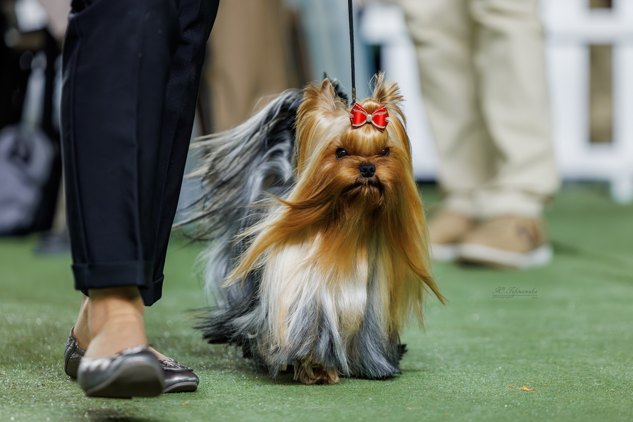 Телави 11-12.10.2025. Фотограф-анималист Юлия Германика