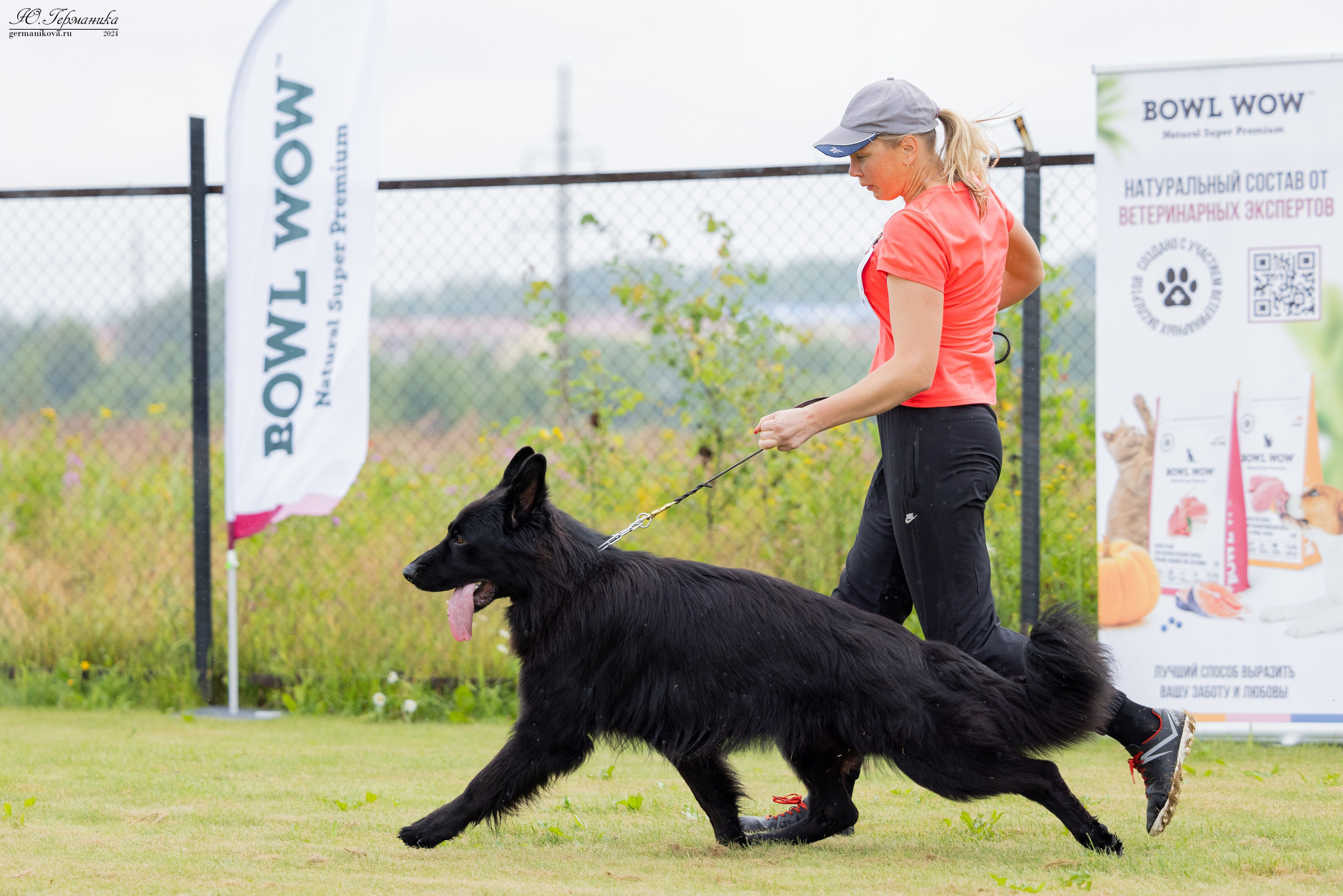 Ярославль 21.07.24 и Балашиха 13.07.24. Фотограф-анималист Юлия Германика