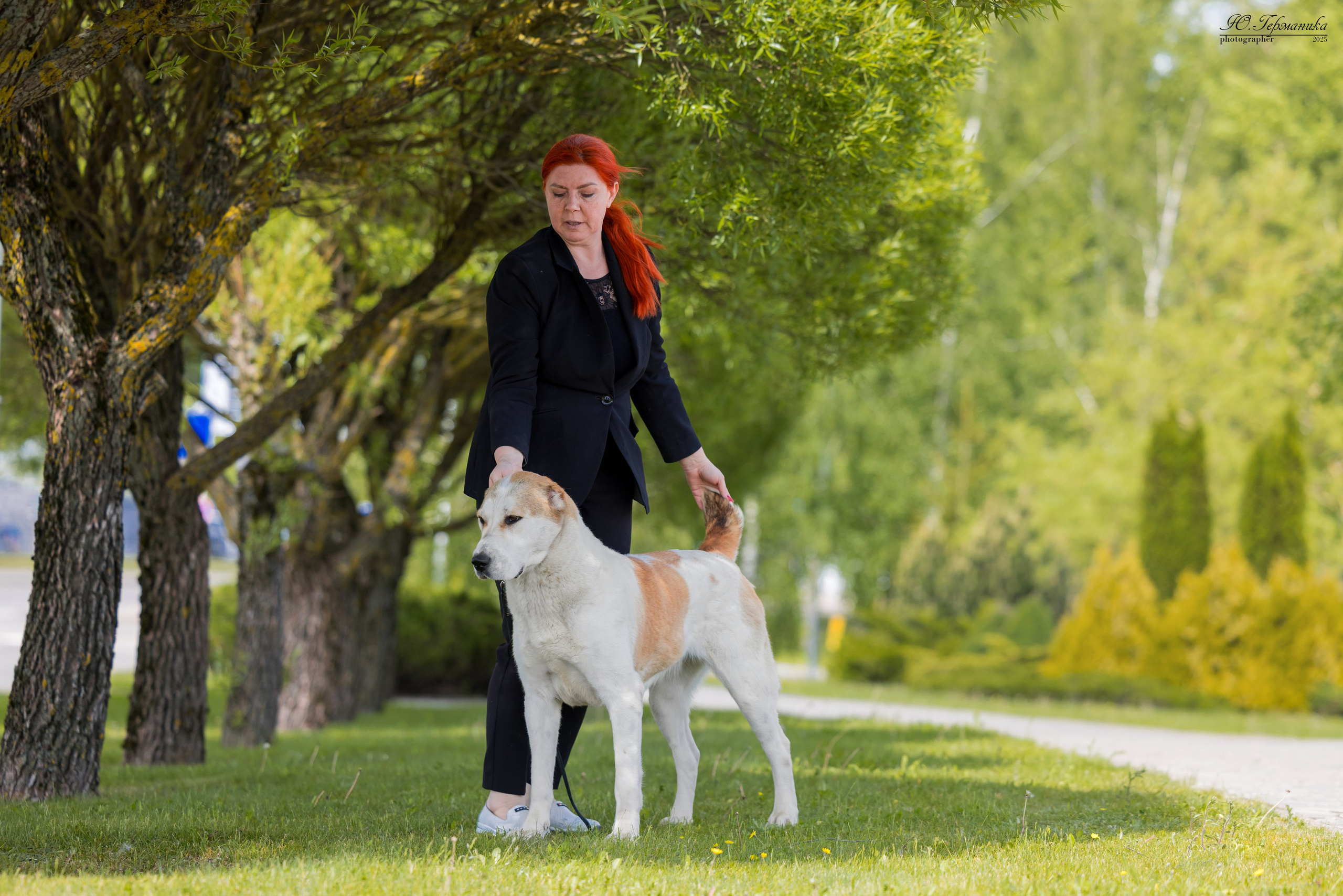 Минск 31.05-1.06.2025. Фотограф-анималист Юлия Германика