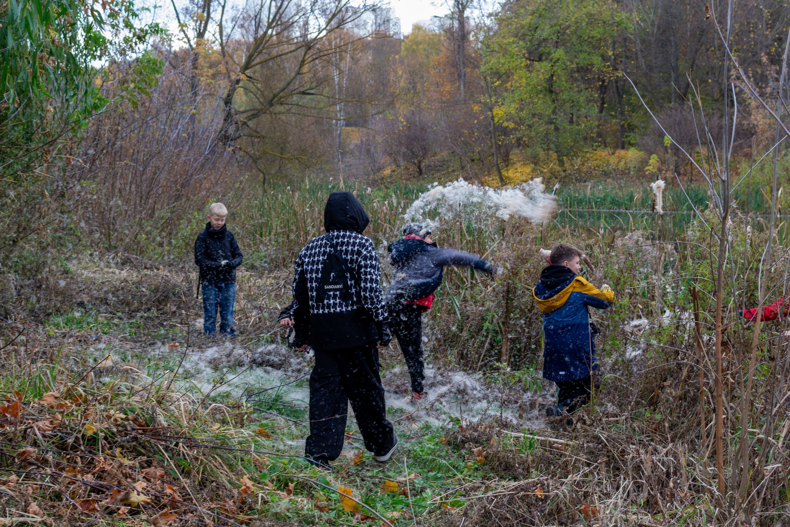 Старенький Nikon 3100 и nikkor 35 mm 1.8 (фото проявленные из RAW-NEF файлов). Фотограф в Туле Крупский АнДРей. Фотостудия «КАДР71» в Туле