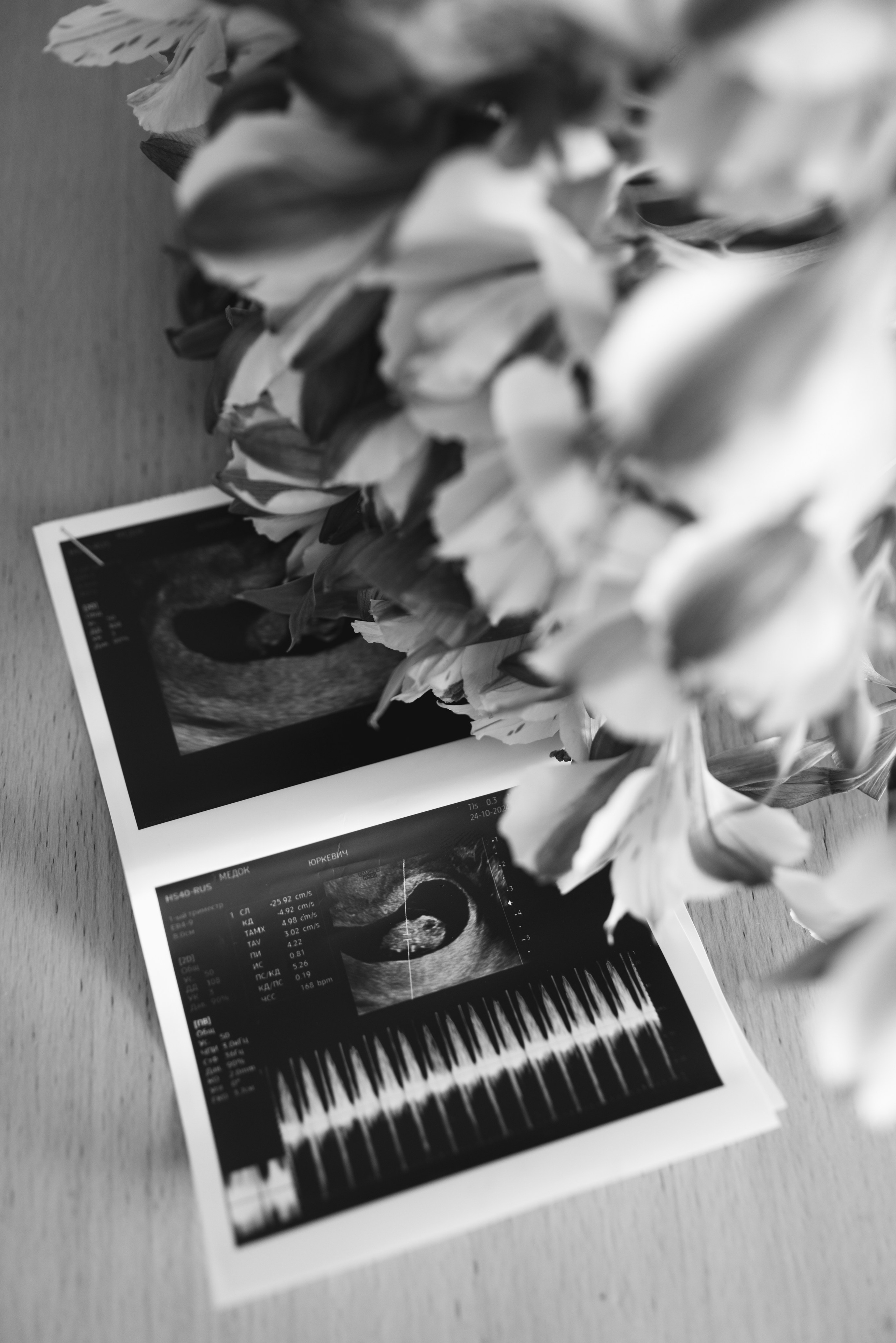 Мы ждем тебя. Семейный и детский фотограф в Москве Князева Диана