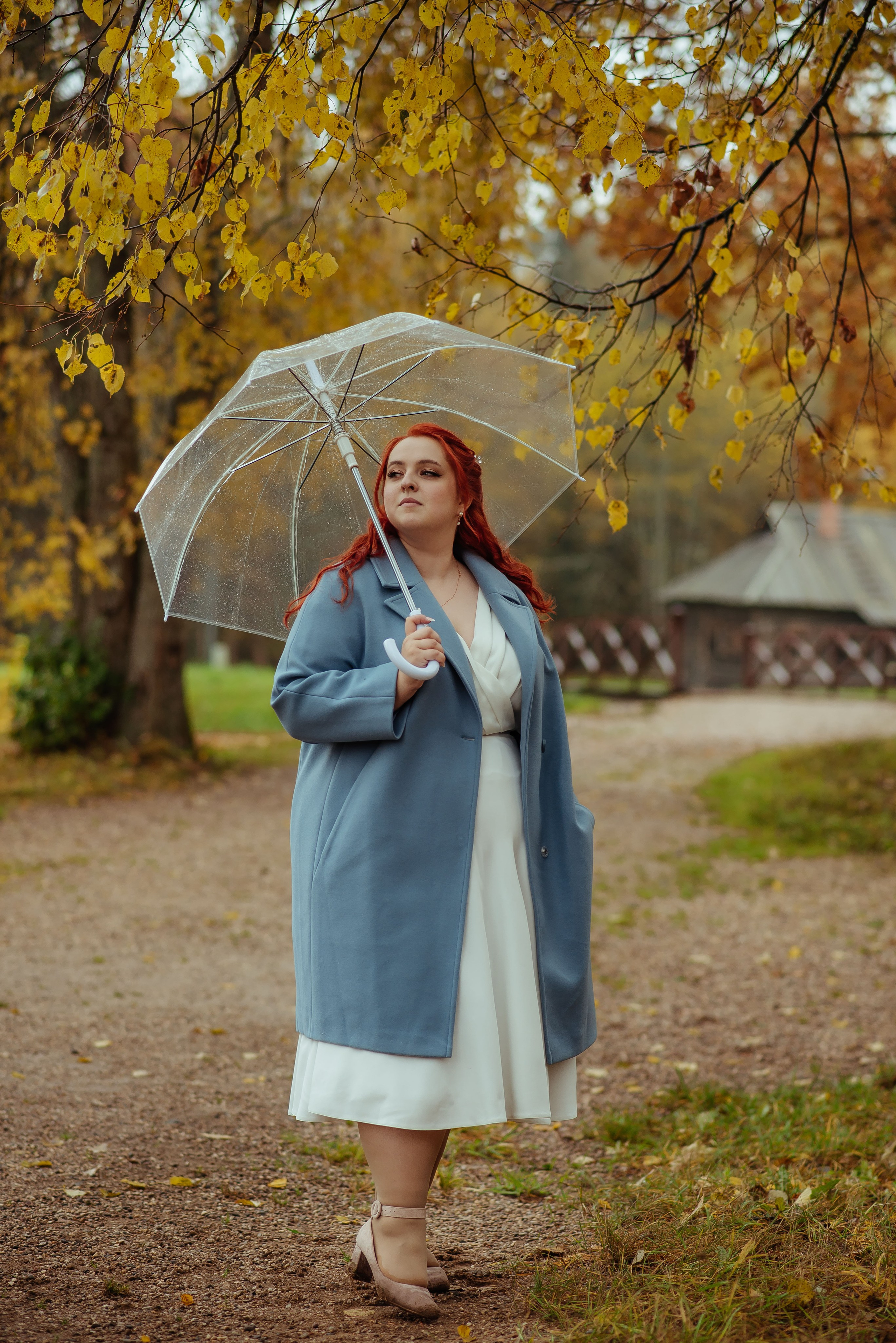 Дарья и Николай. Свадебный и портретный фотограф lifestyle