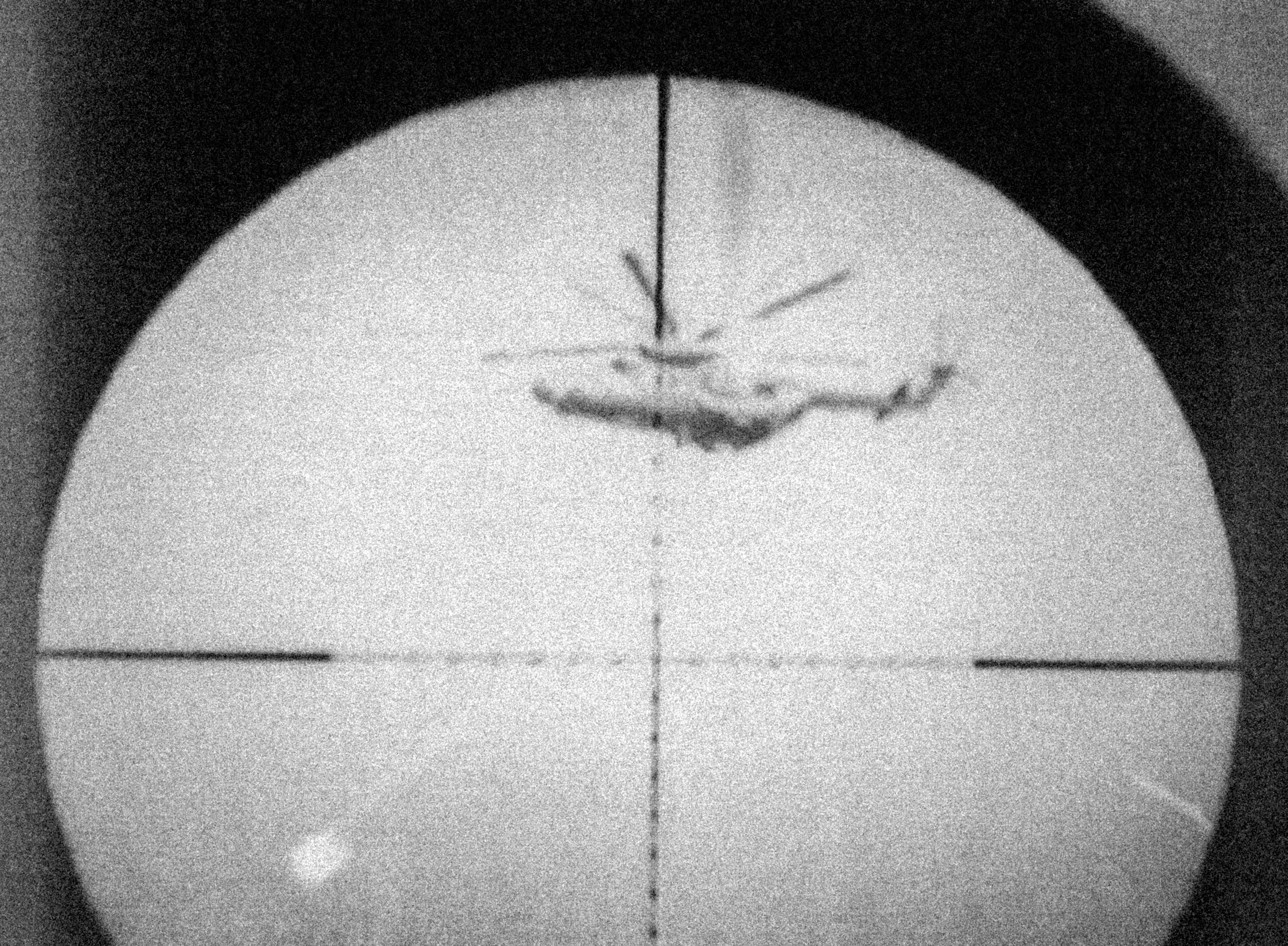 GTA V, videogames, in-game photo, screenshot