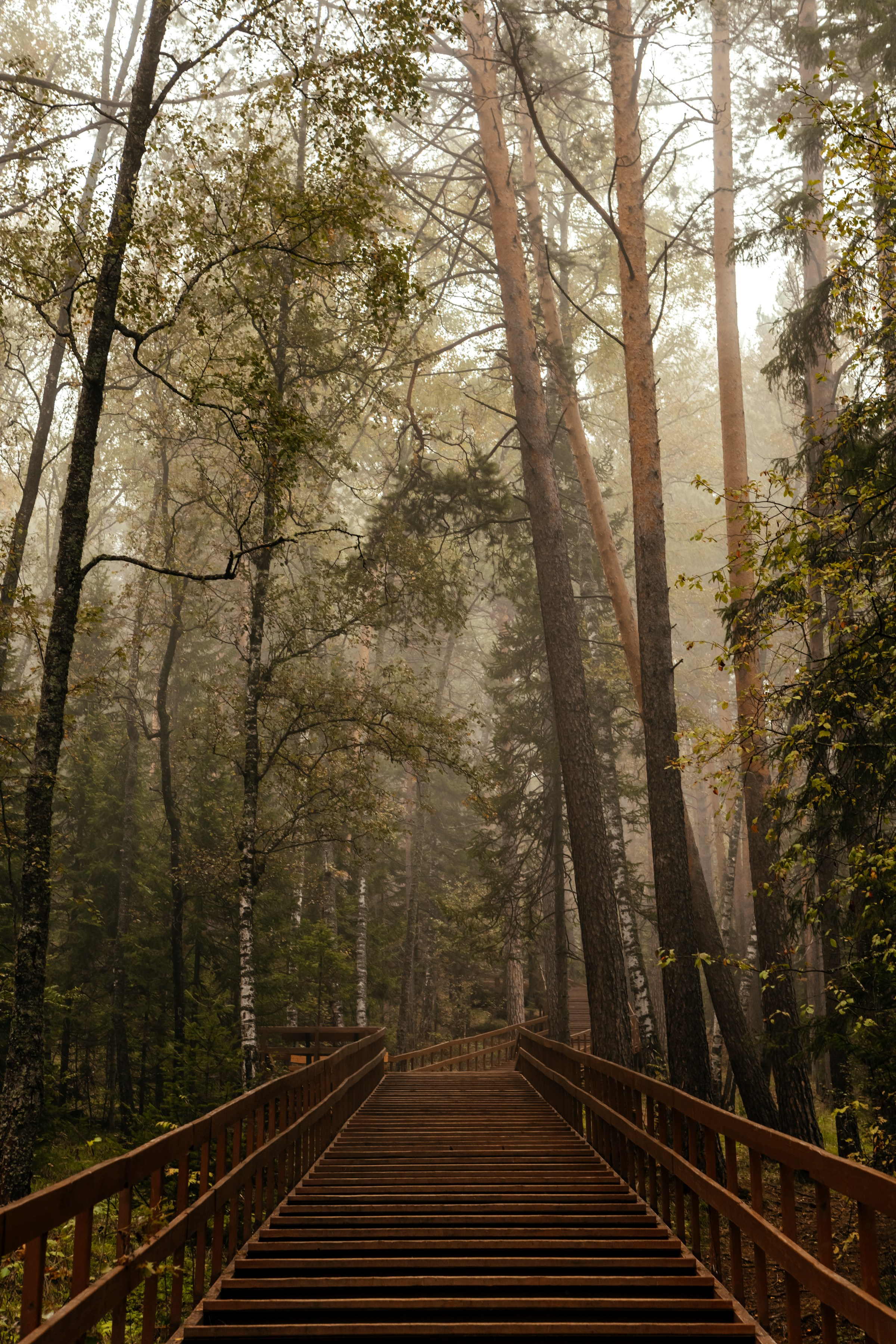 «Столбы». Фотограф в Красноярске Оксана Корчагина