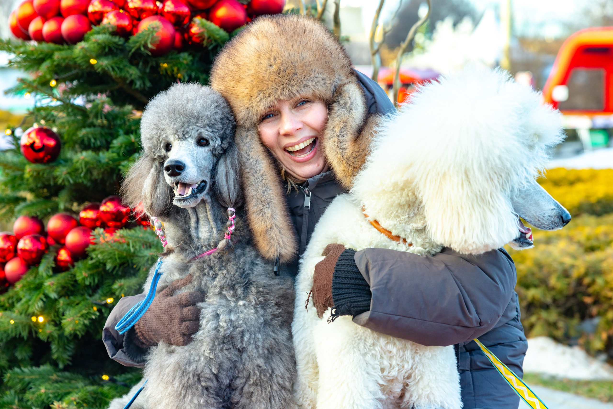 Клуб грумеров (прогулка и семинары). Виктория Зудина — фотограф в Москве