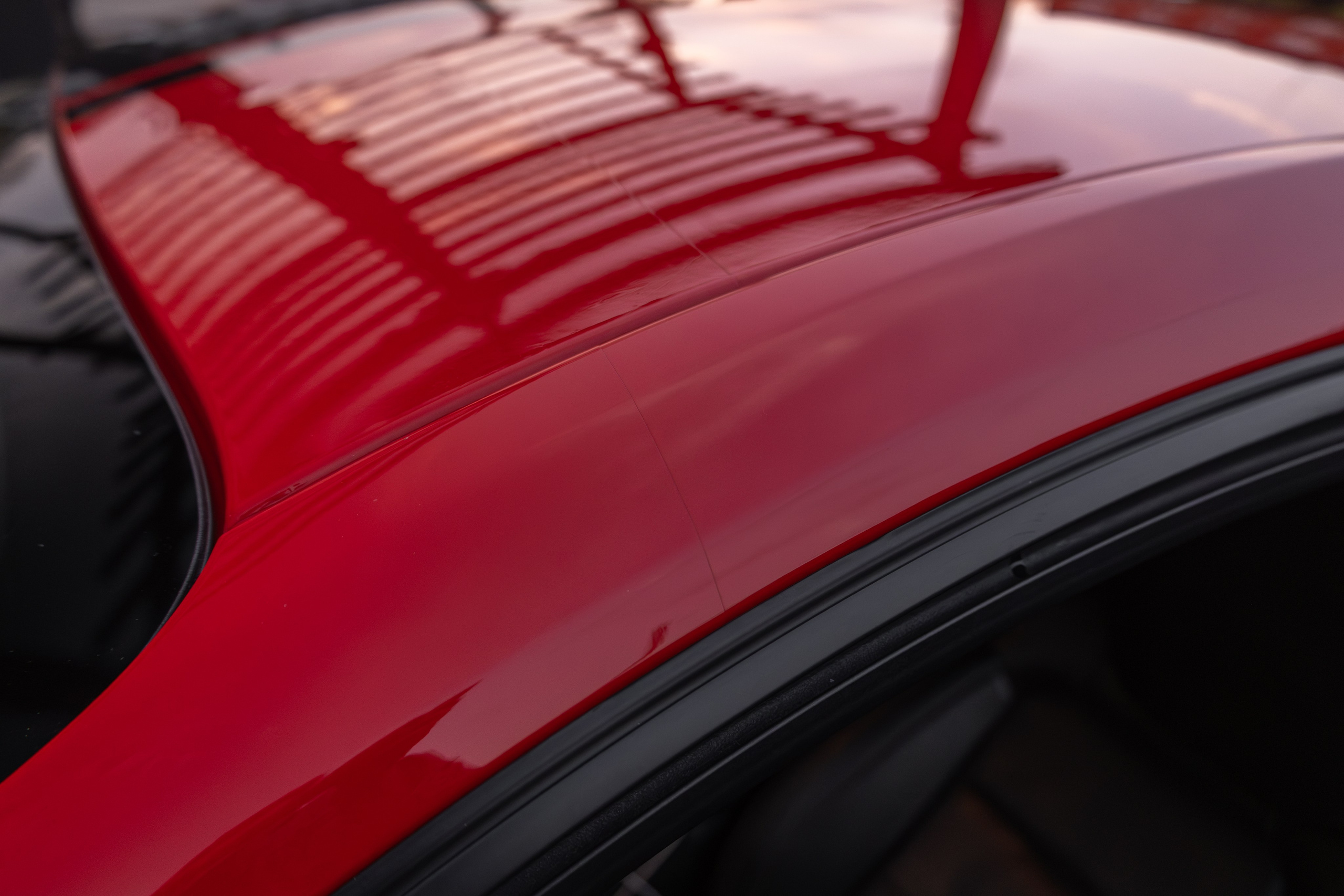 Mustang. Мелехов Дмитрий|Фотограф|Видеограф