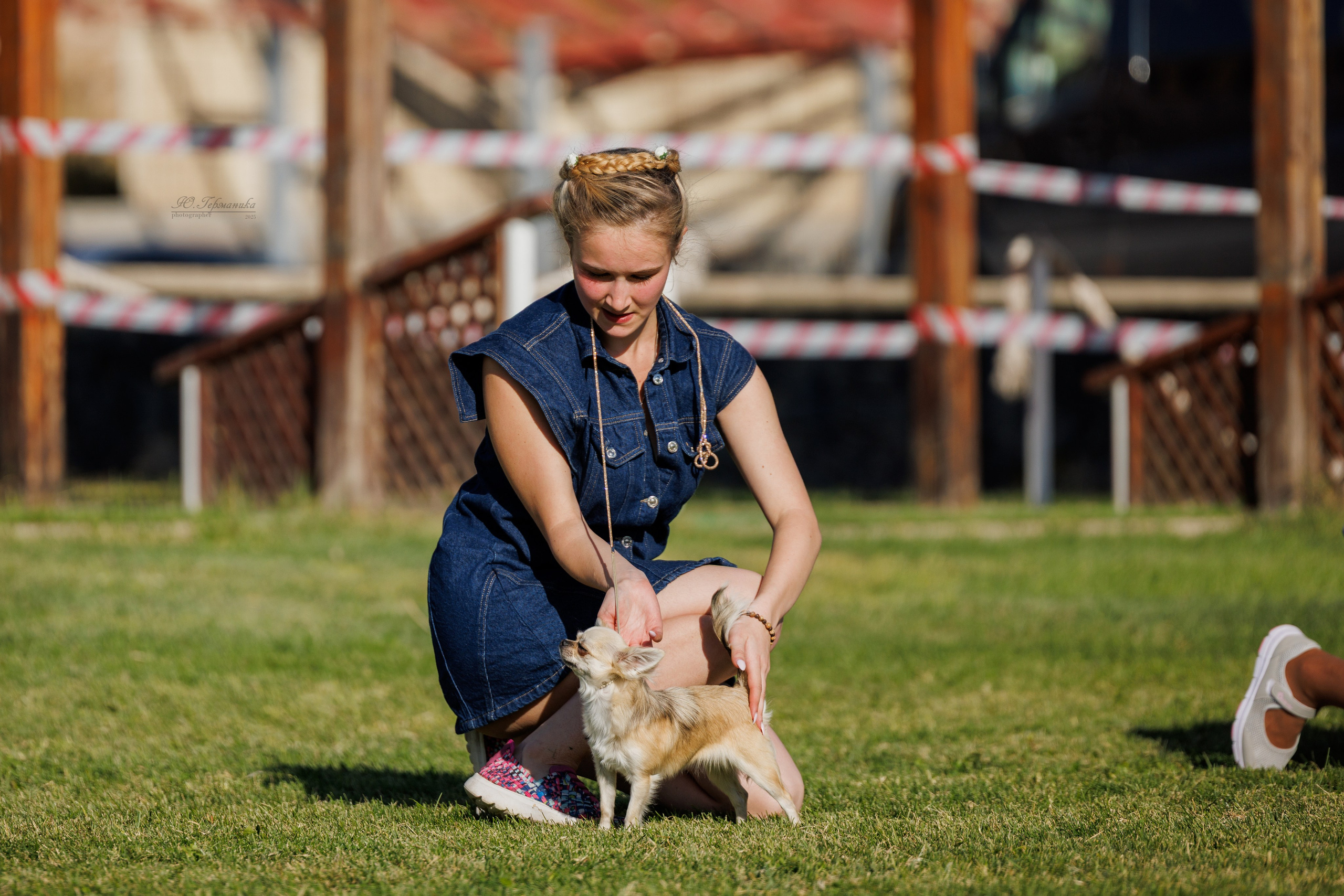 Ереван 14-16.10.2025. Фотограф-анималист Юлия Германика