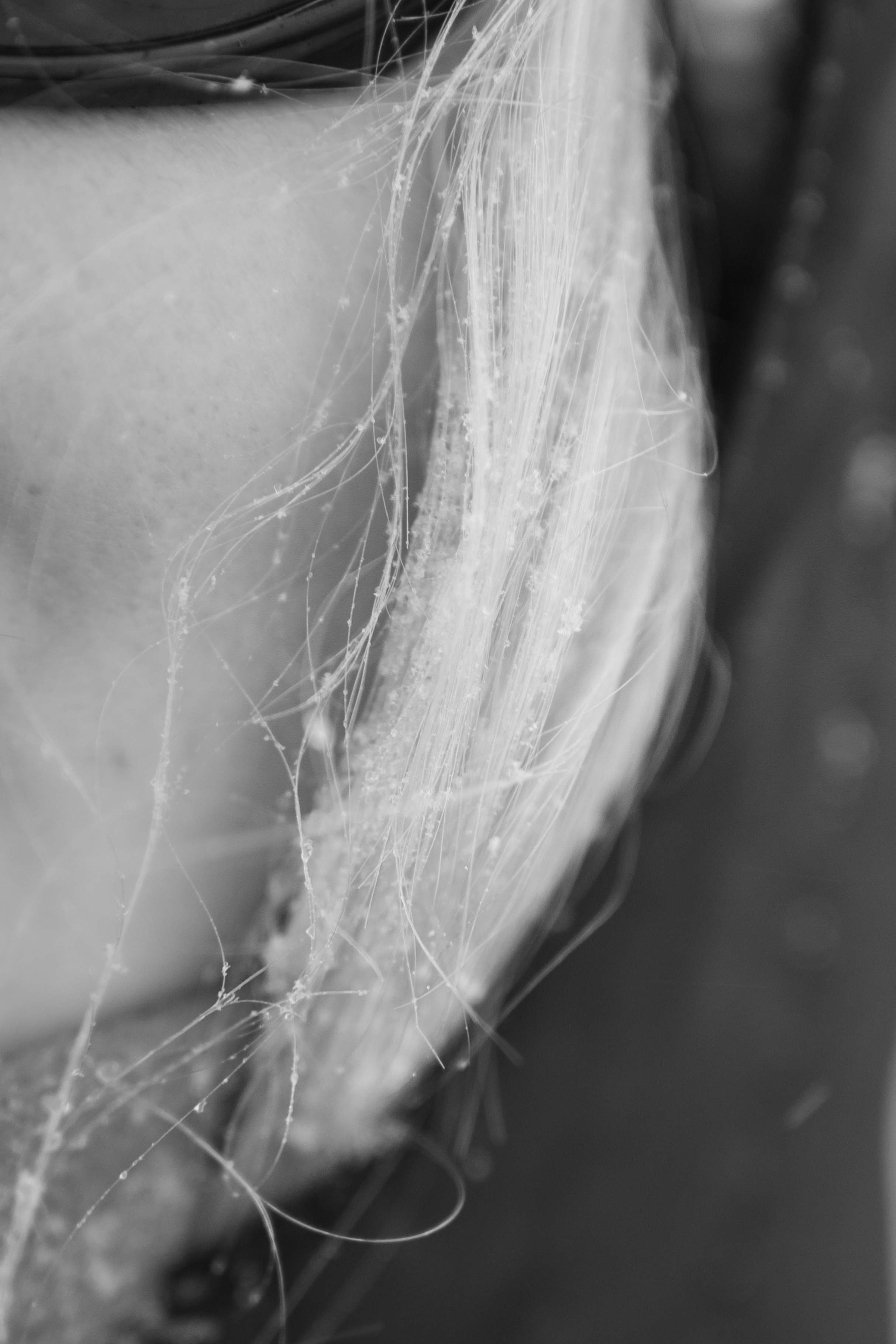 Териберка — репортаж тура Ковчег 51. Видеограф в Санкт-Петербурге Анастасия Коок