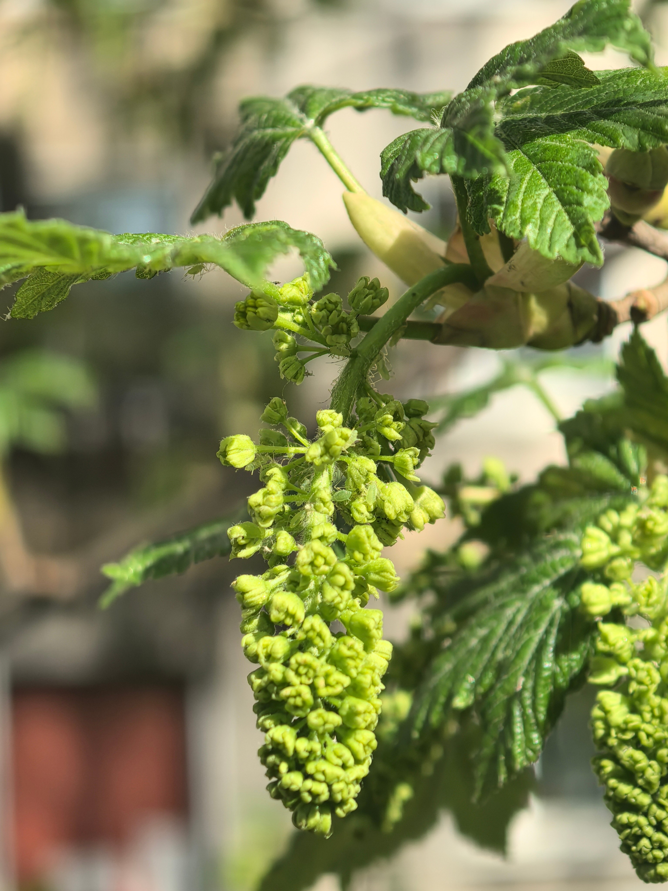 ПочтиМАКРО. Школьные выпускные альбомы в Москве Марина Николаева
