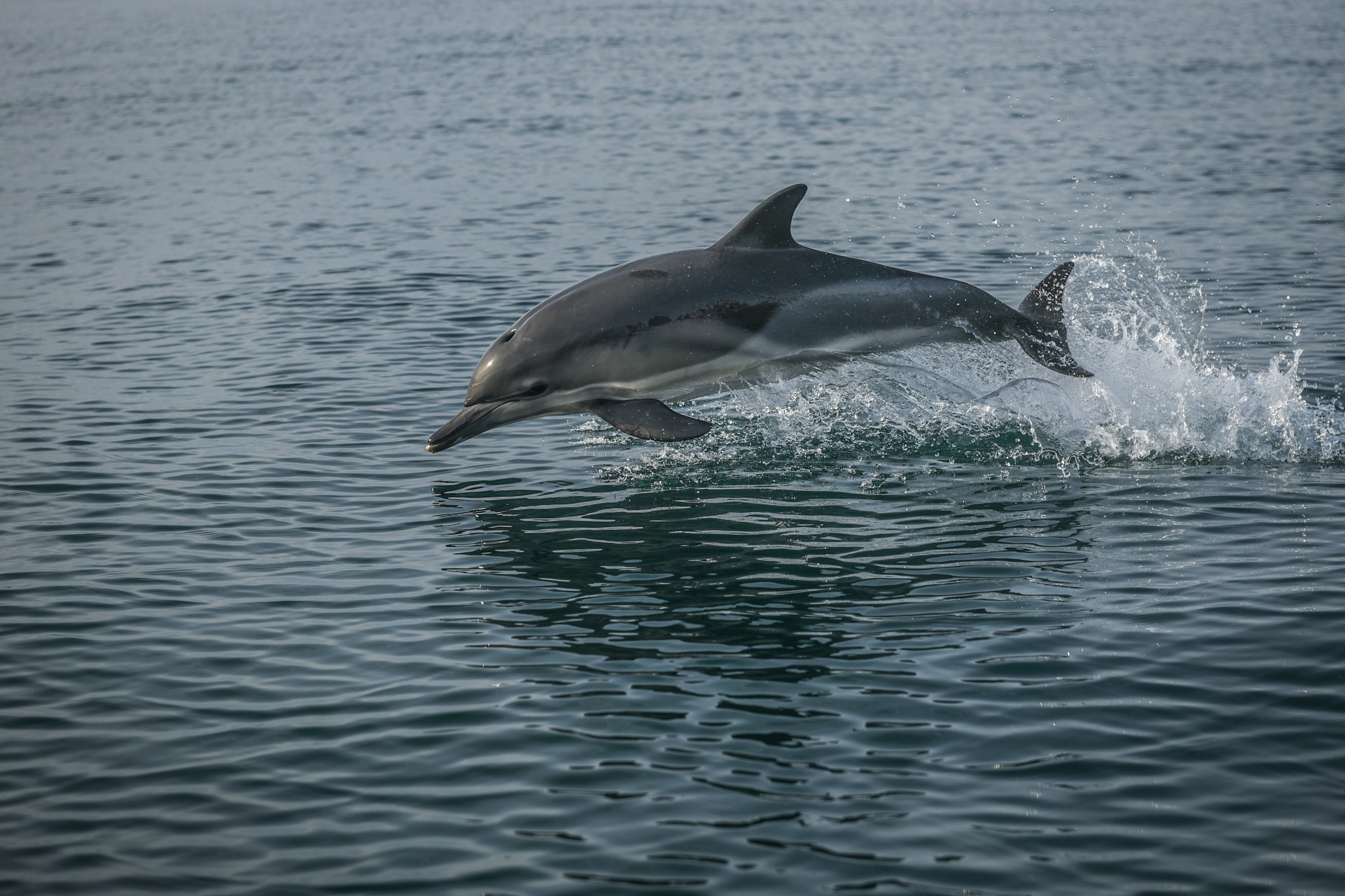 Wild and free. Anastasia Serdyuk, travel photographer, travel photo, portraits, stories, fineart prints