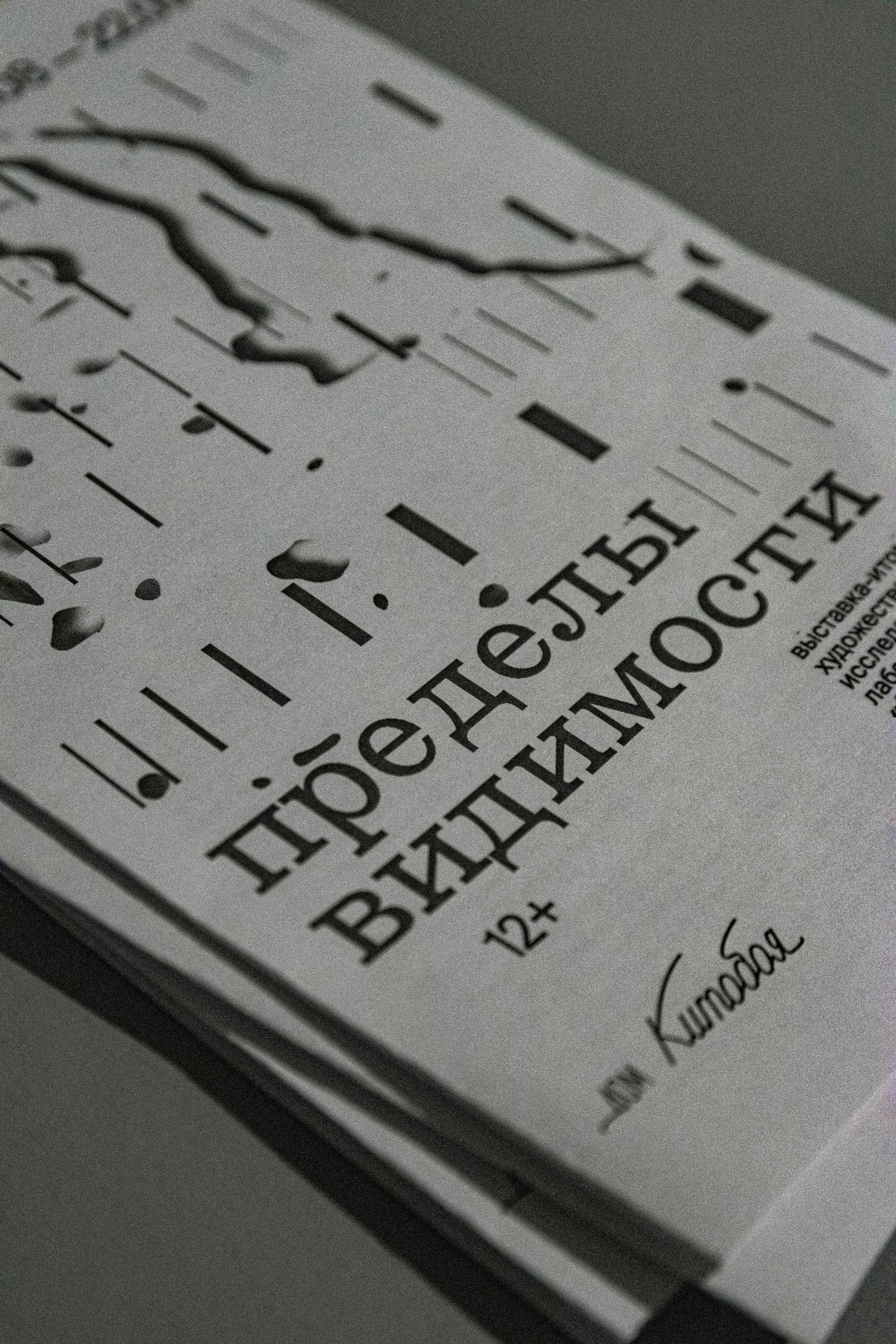 Пределы Видимости. Лаборатория по работе с архивной фотографией. Художественная группа «Нежные Бабы»