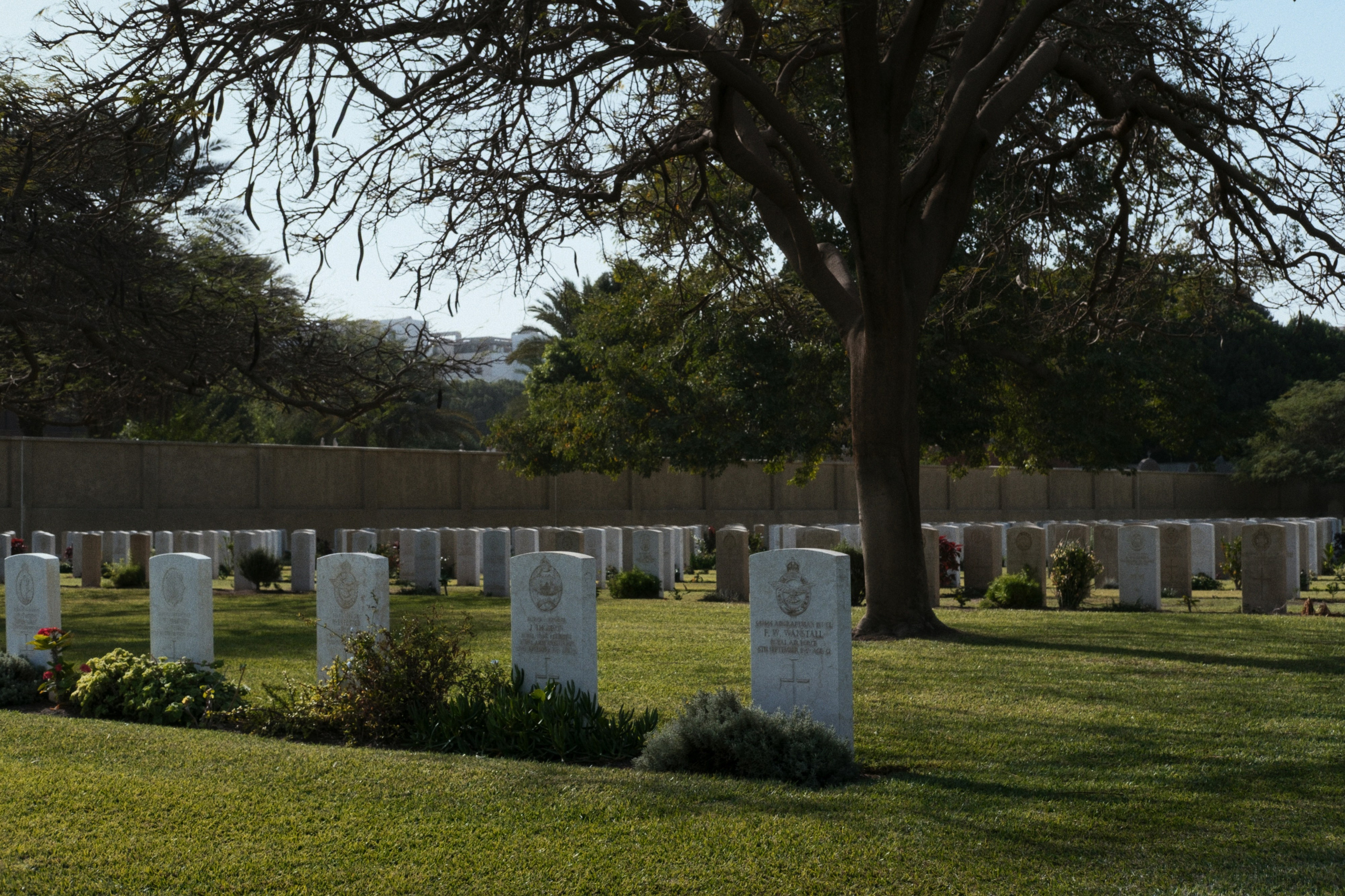 War Memorial Cemetery / Cairo, Egypt AW25. Фотограф Юрин Евгений