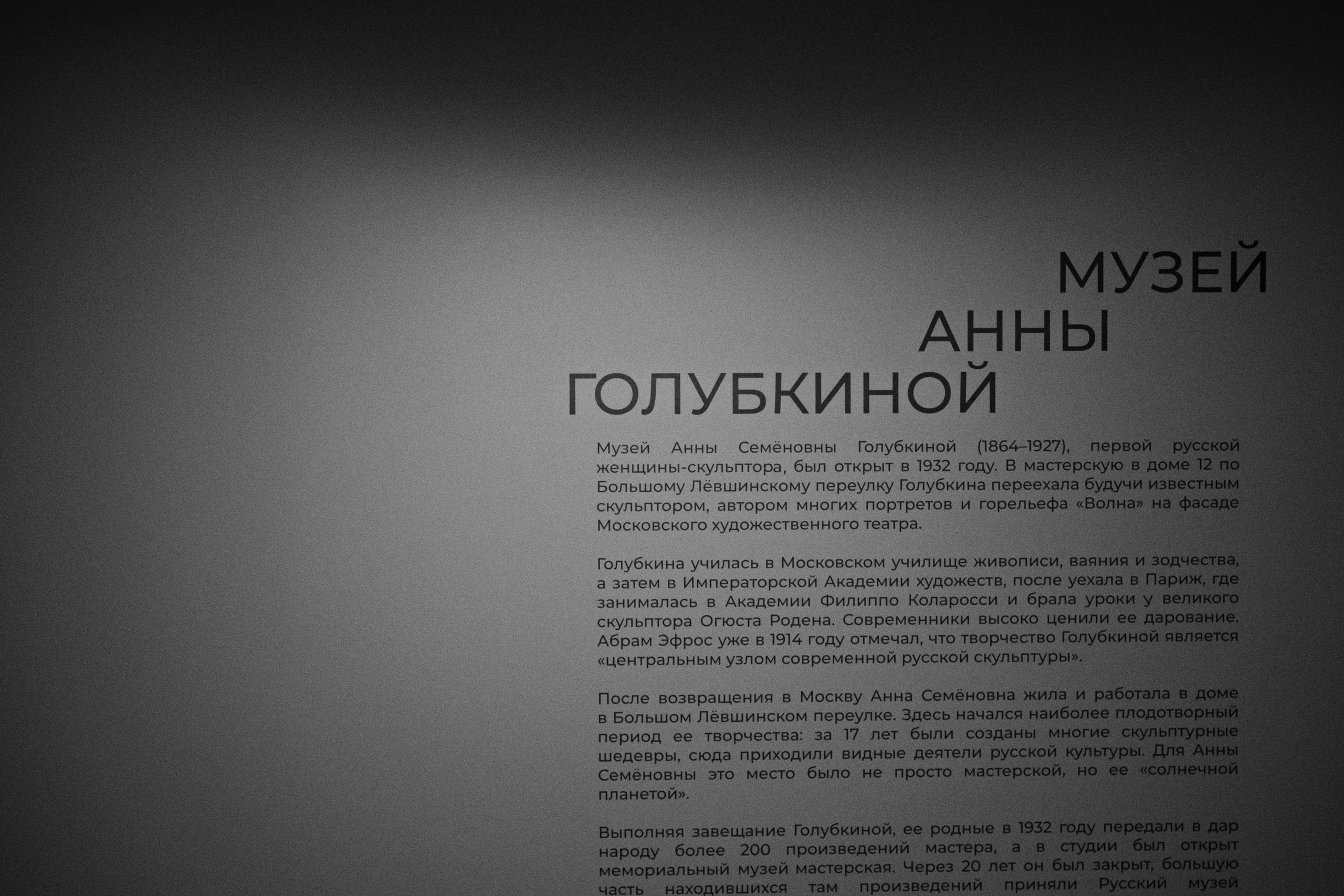 Новая Третьяковка / Из виртуального в реальное. Фотограф Юрин Евгений