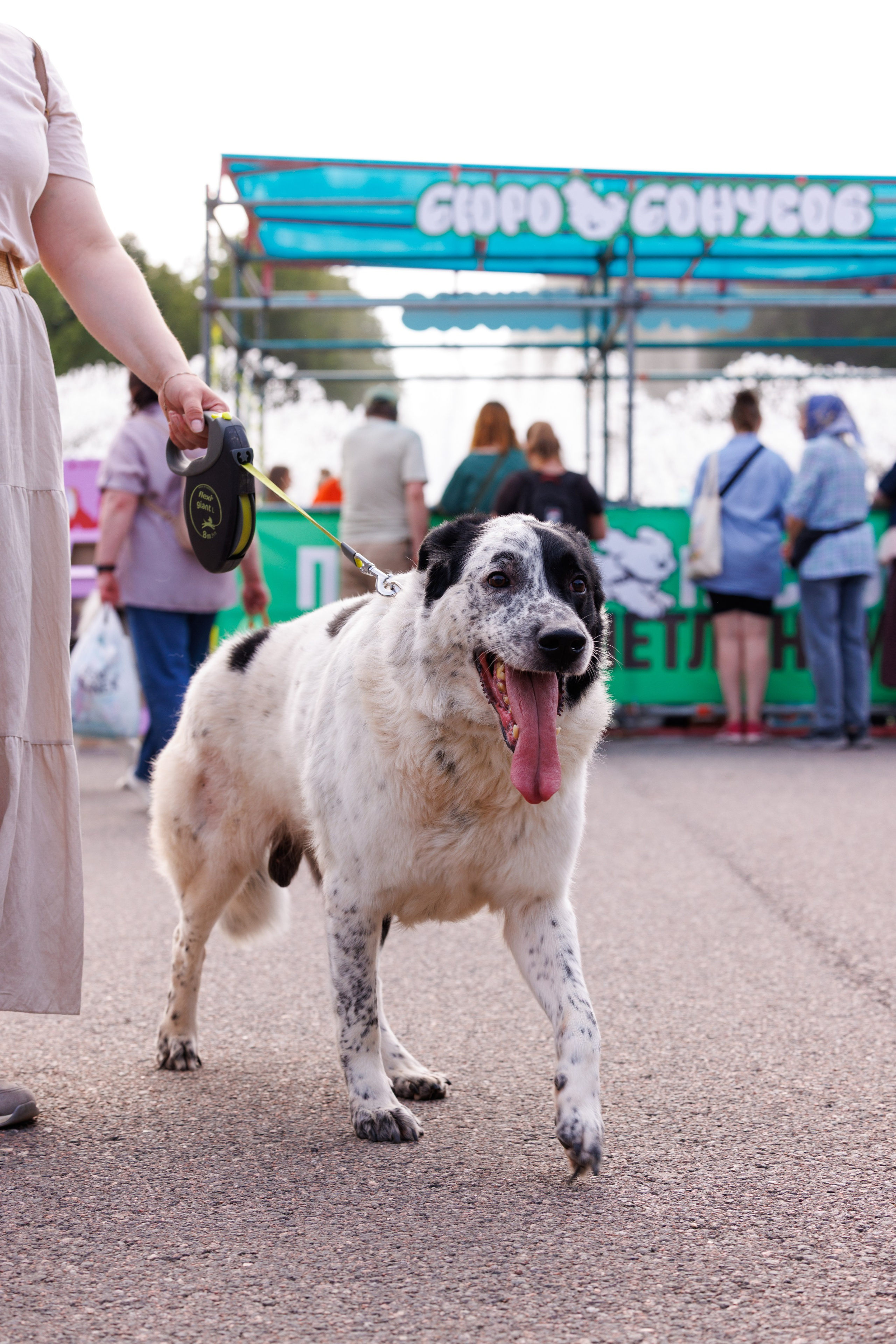 PetShopDays2026. Фотограф Александр Заломаев