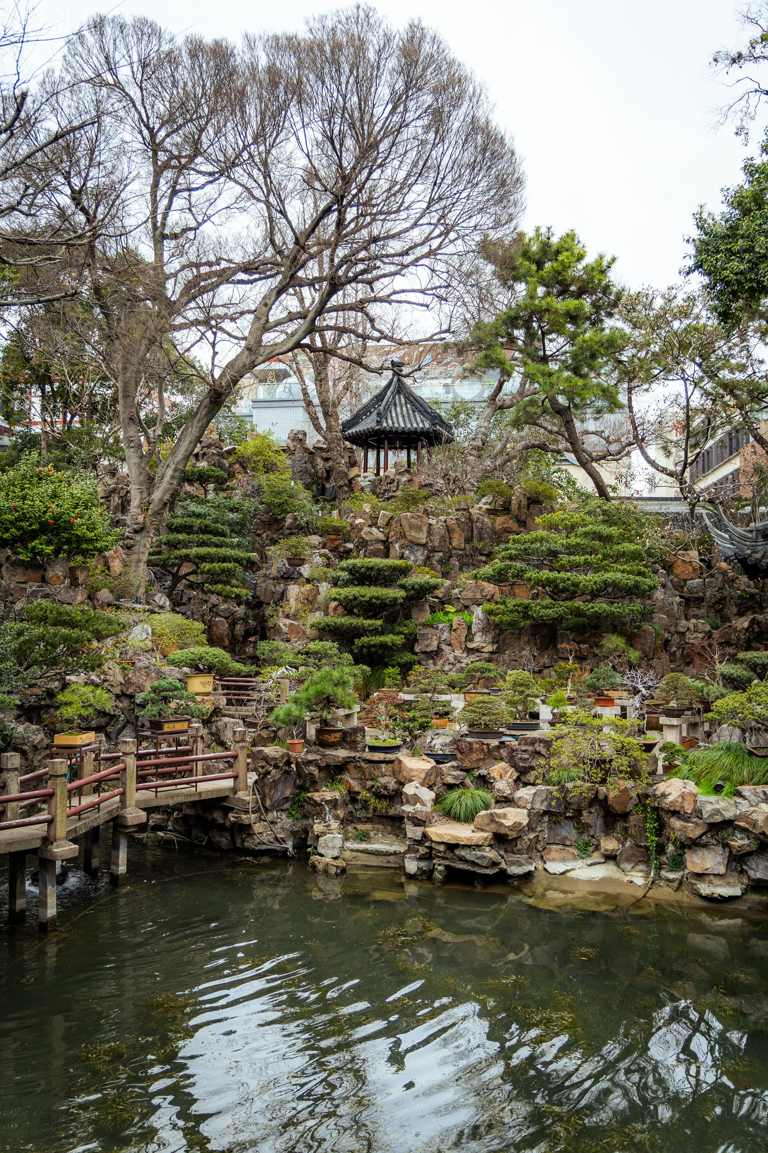 Шанхай (март 2026). Фотограф Виноградов Константин