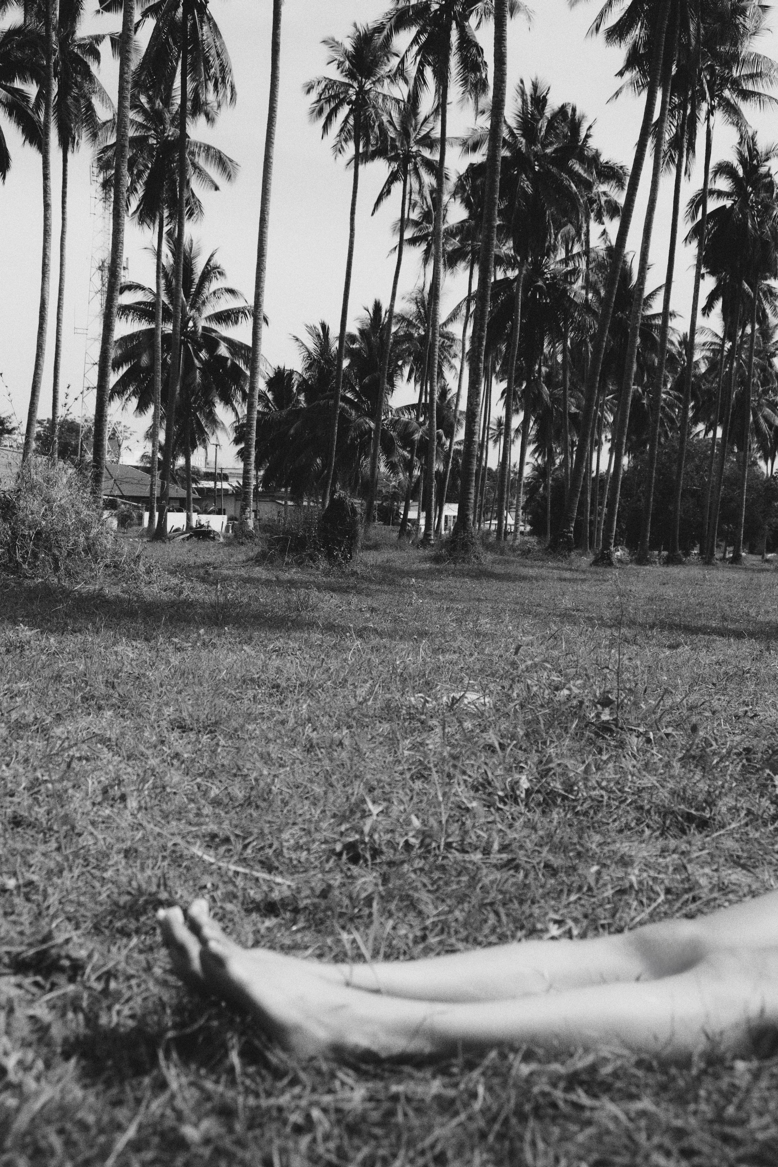 THE RHYTHM OF NATURE. Александр Колпаков