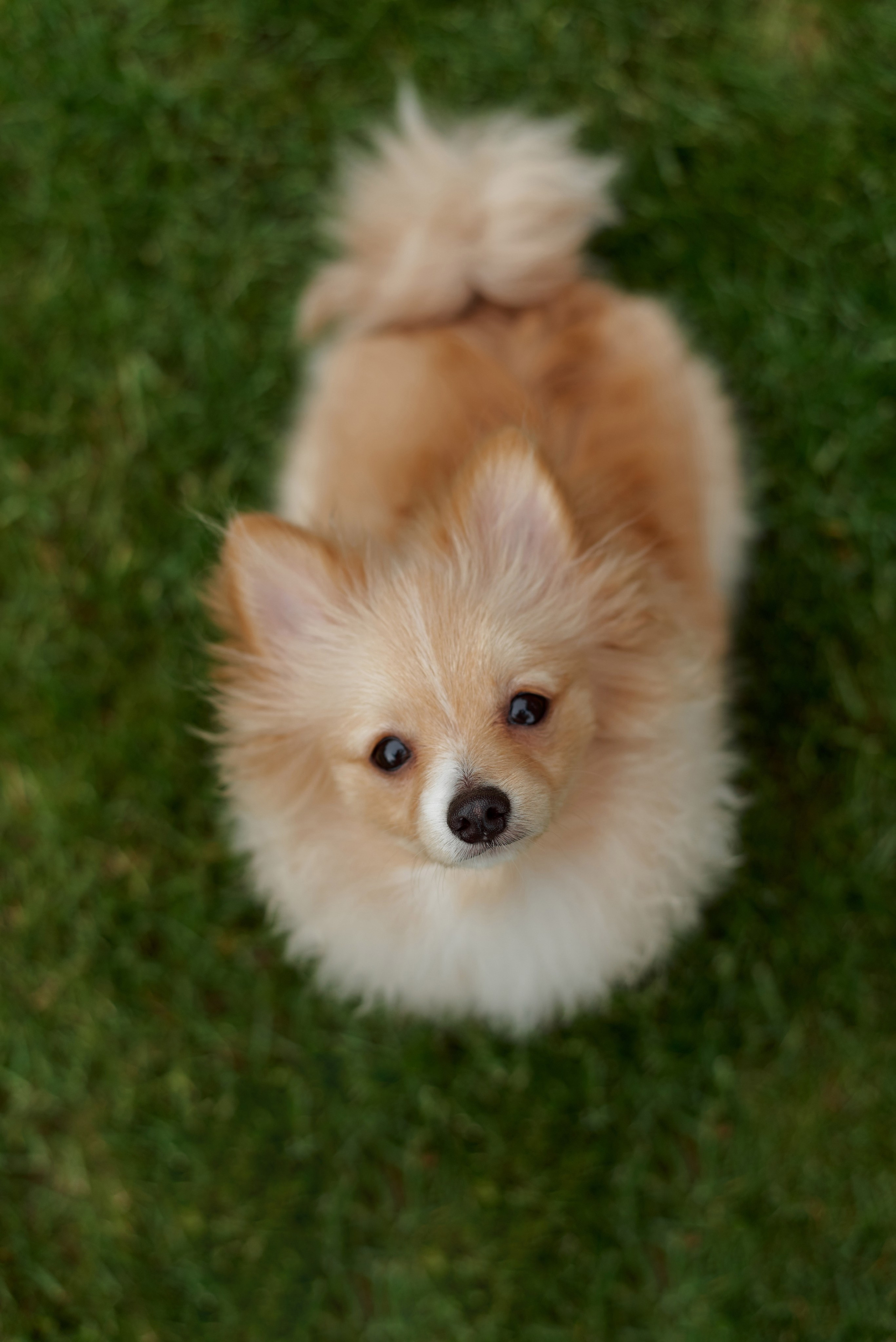 Даня и Лиза. Aleksantis