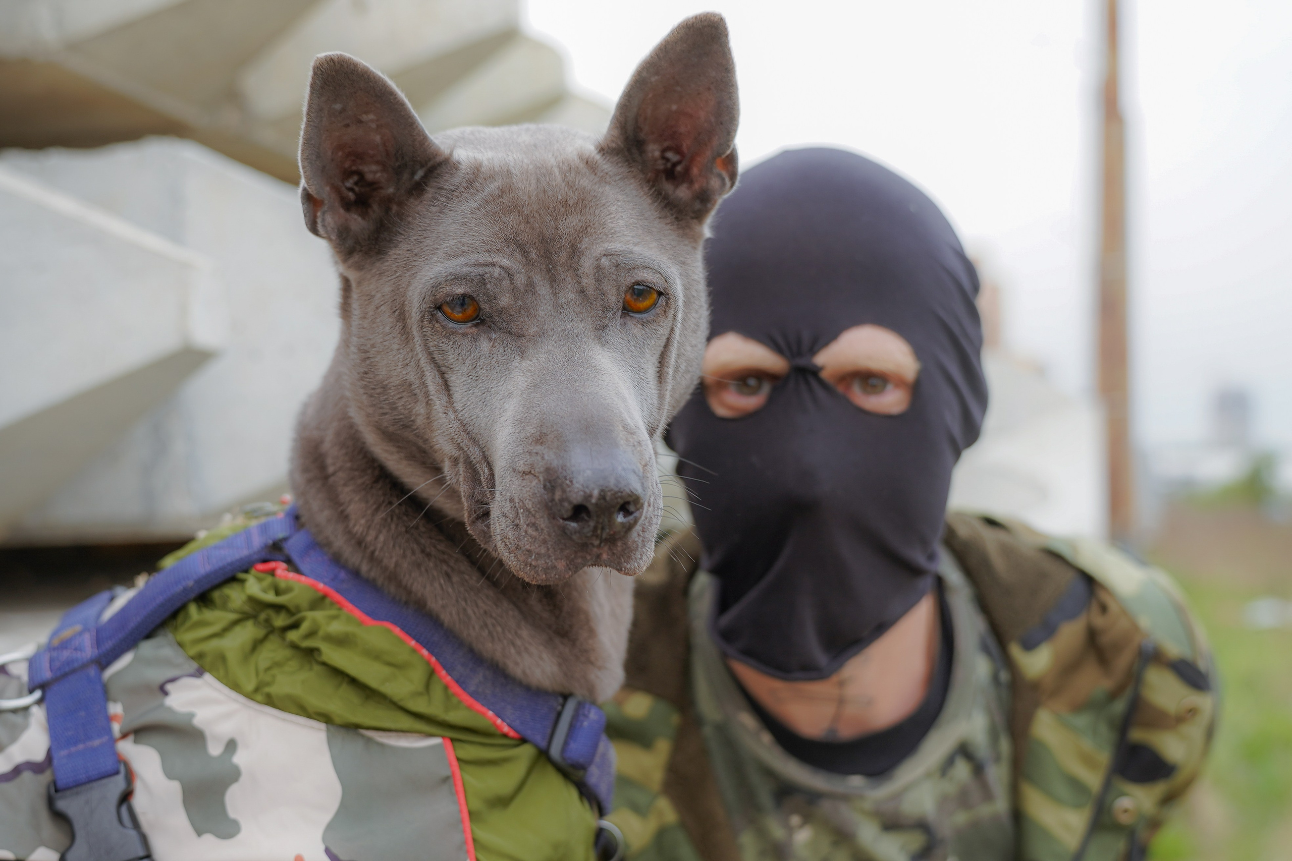 NEW TRUTH. Фотограф и визуальный художник в Туле / Николай Рейзвих