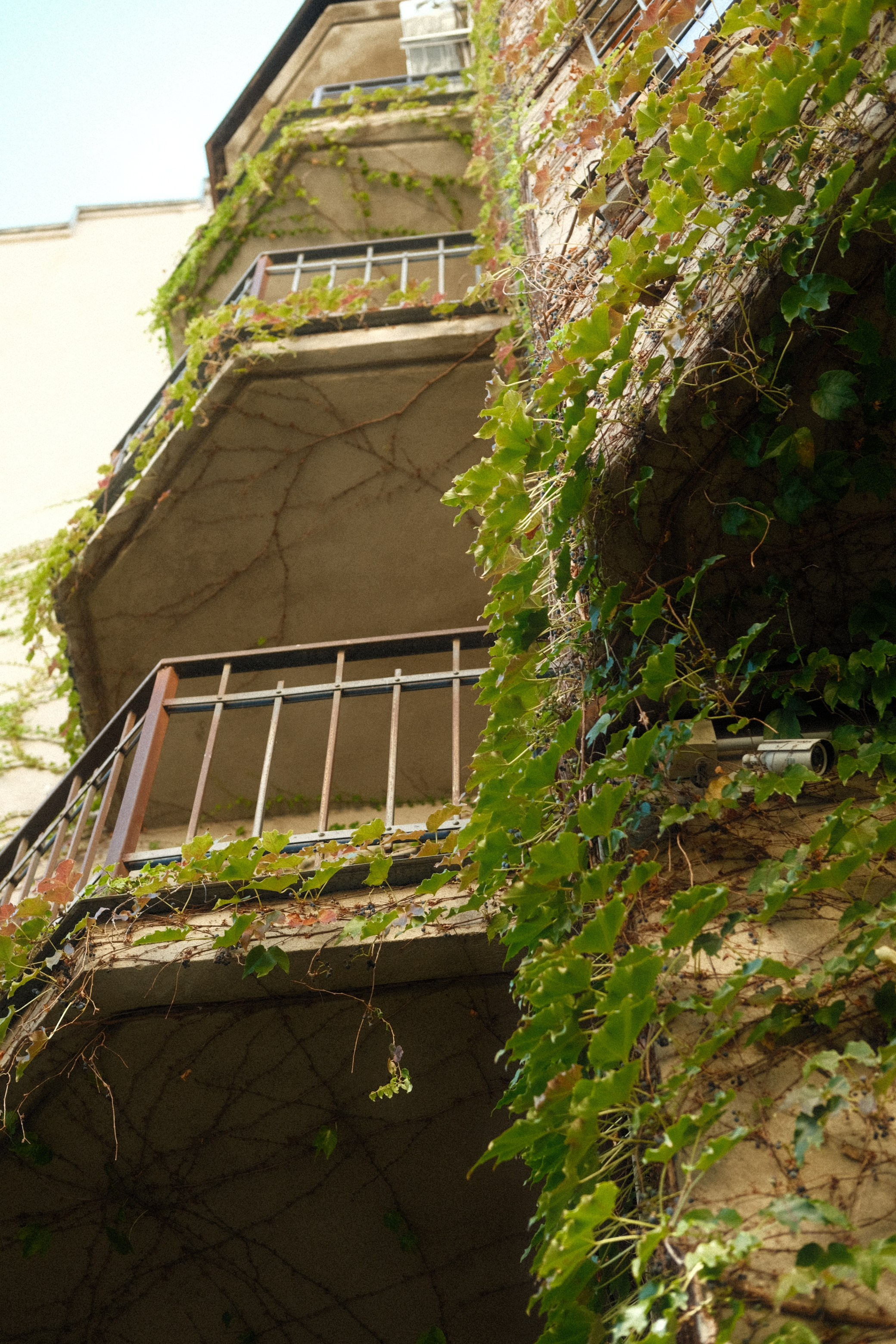 Тбилиси. Фотограф Сергей Красников