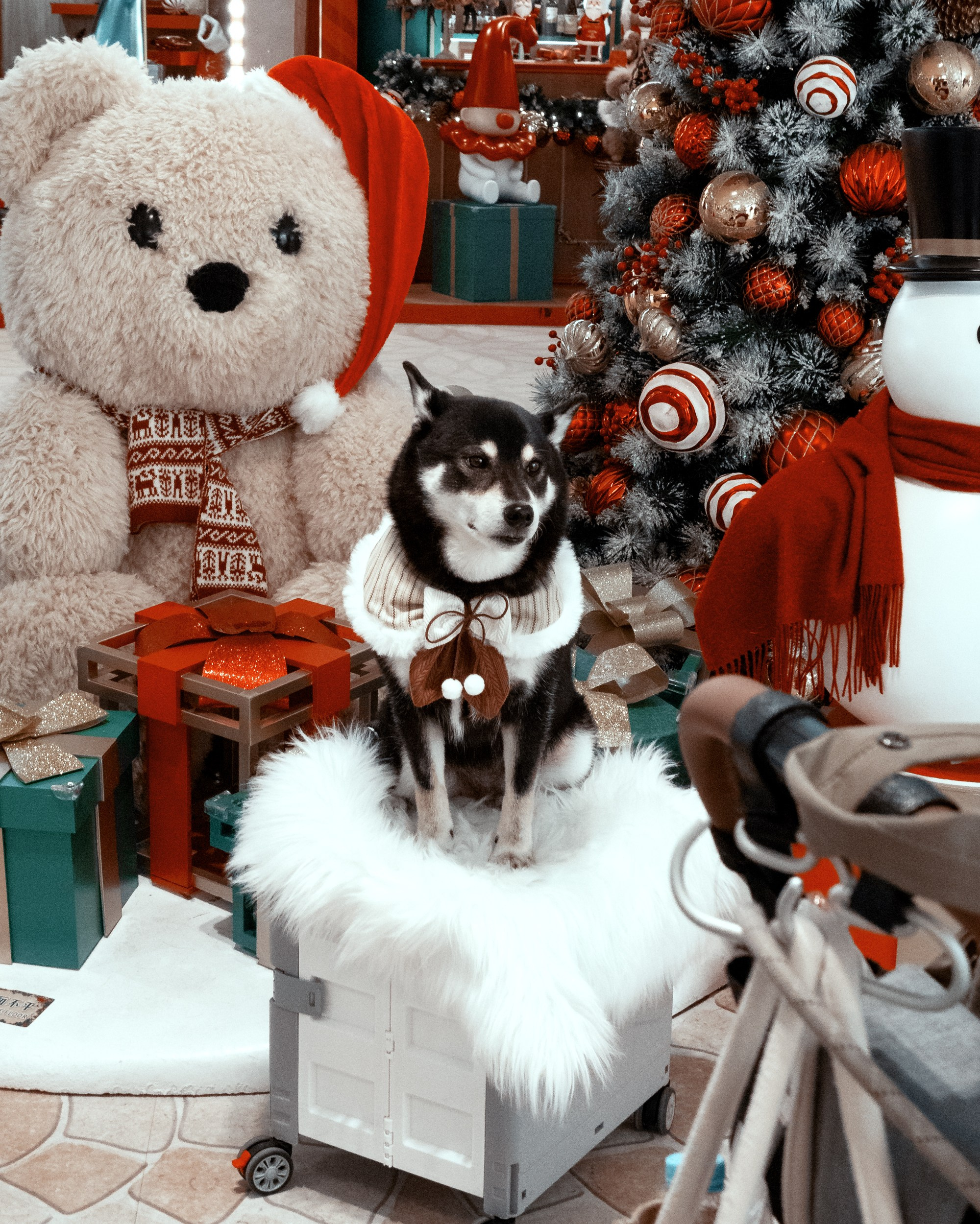 Ktokuda. Фотограф в Хабаровске. Фотография за 24 часа