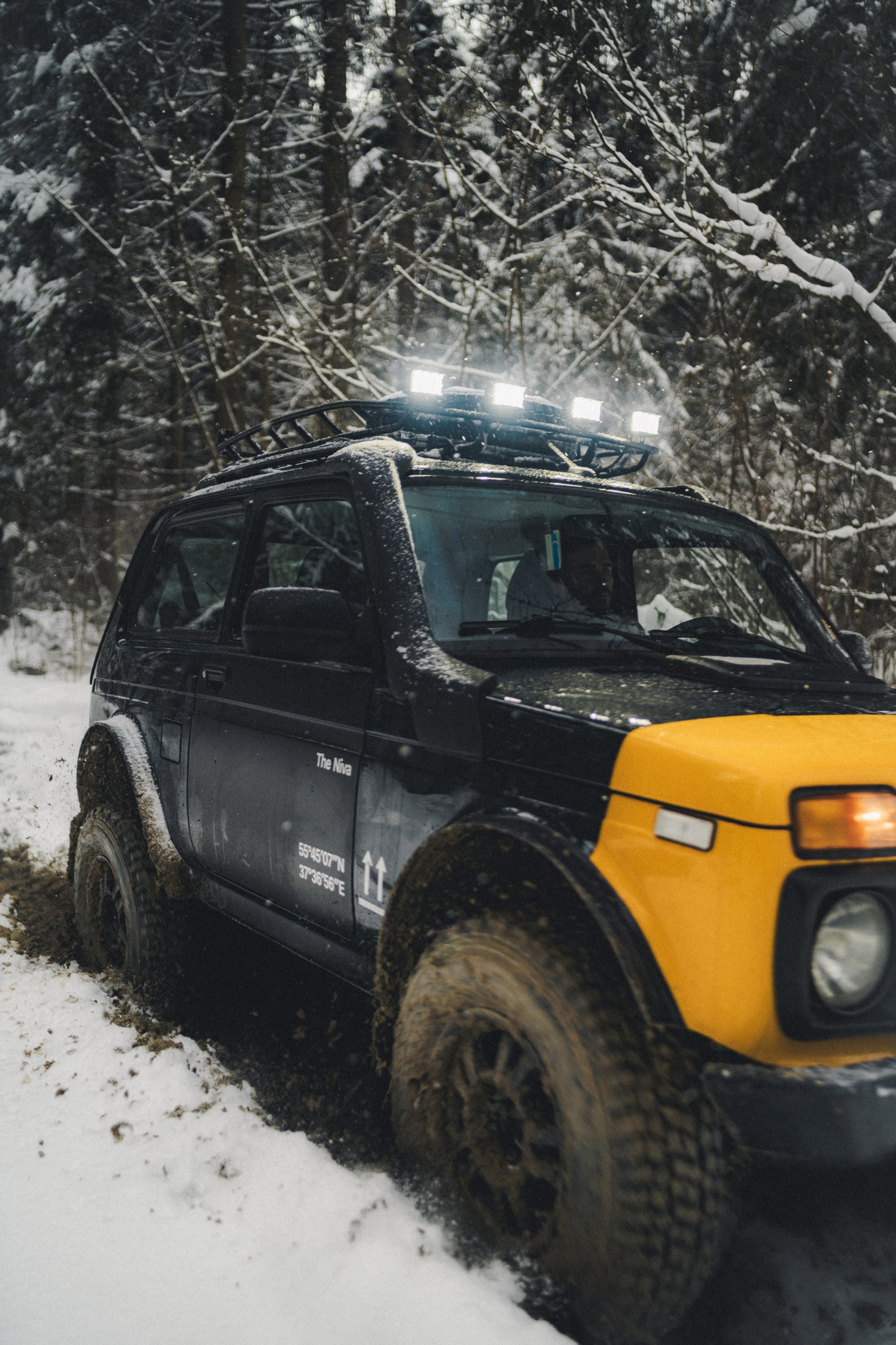 Niva Bronto (Nessie) x FAUNO. Фотограф Илья К. в Москве