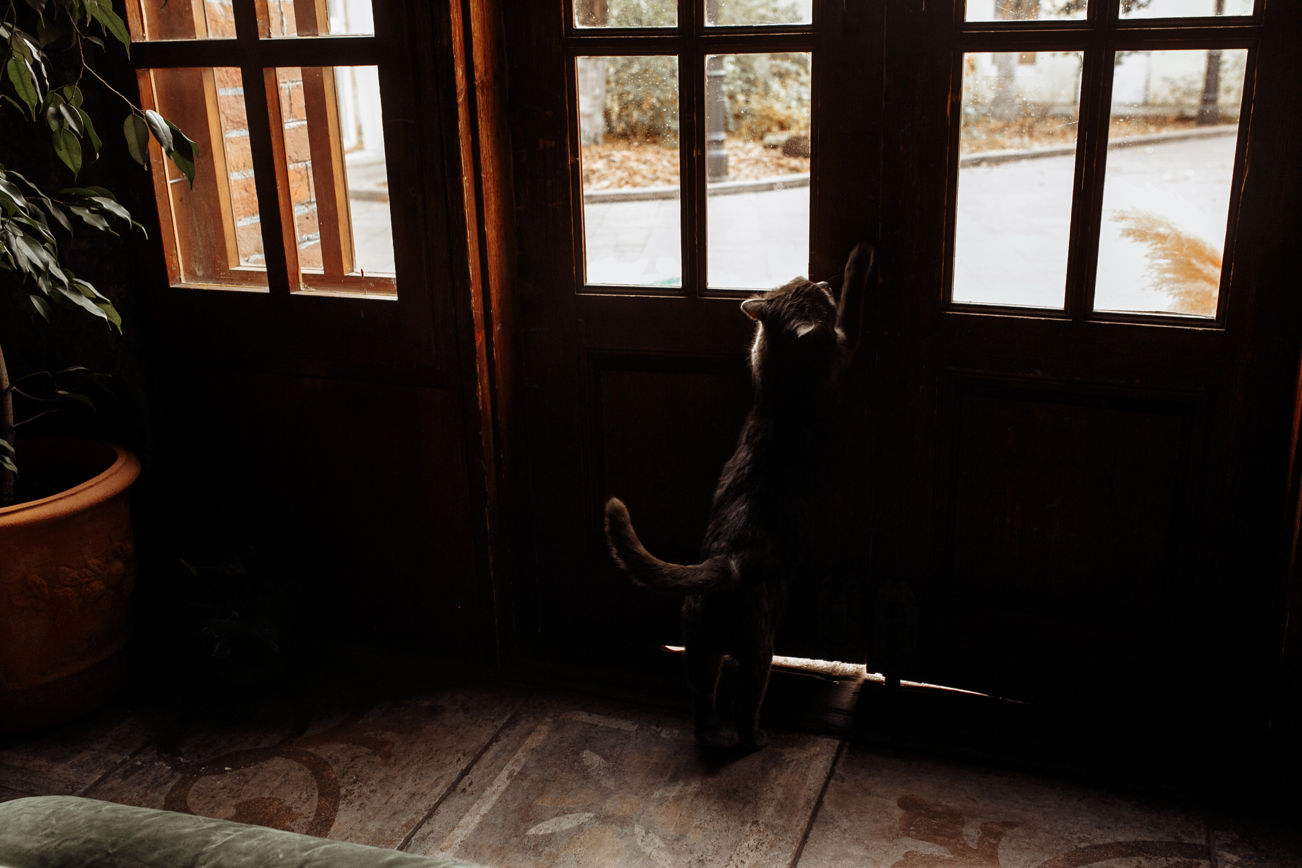 Eternite | Вечность. Свадебный фотограф Екатерина Худякова — Ярославль, Санкт-Петербург, Москва