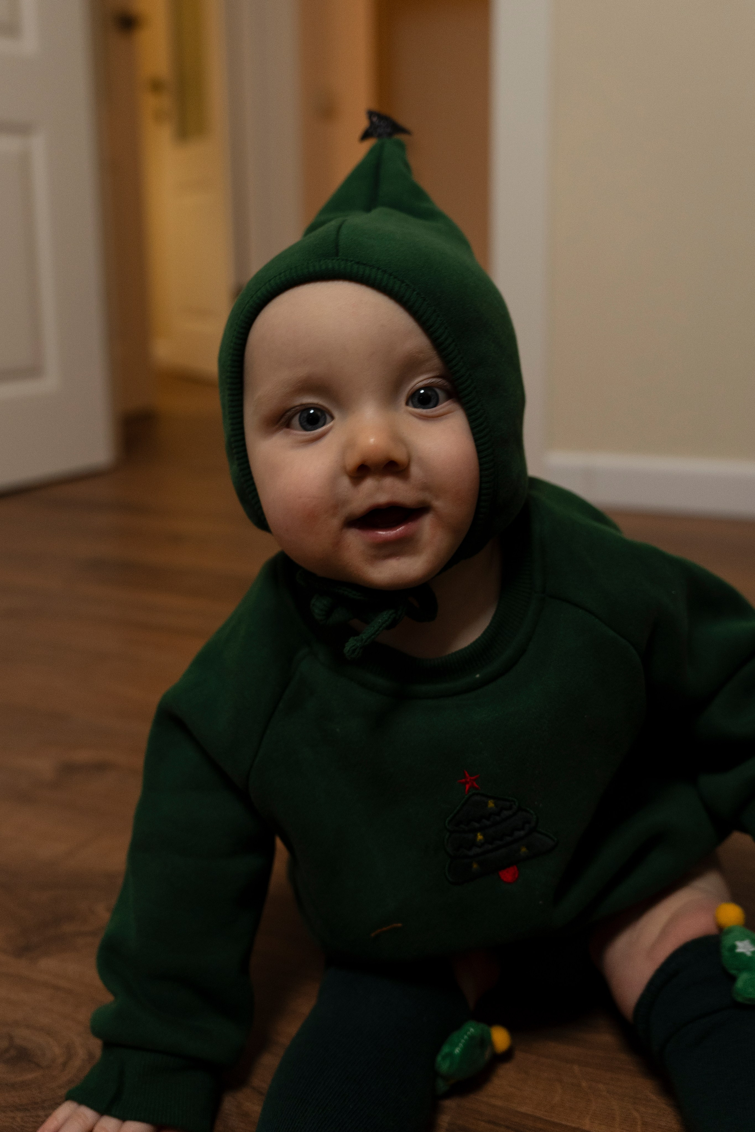 Новогодние тройняшки. Главная