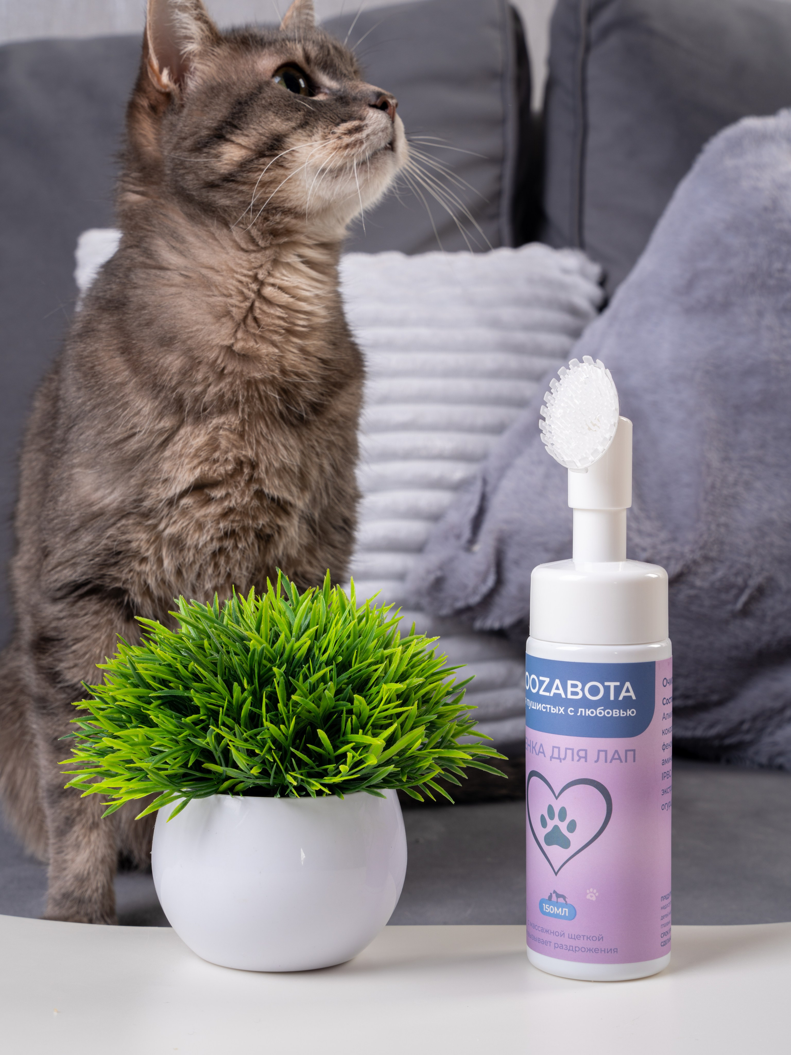 В декоре. Предметный фотограф