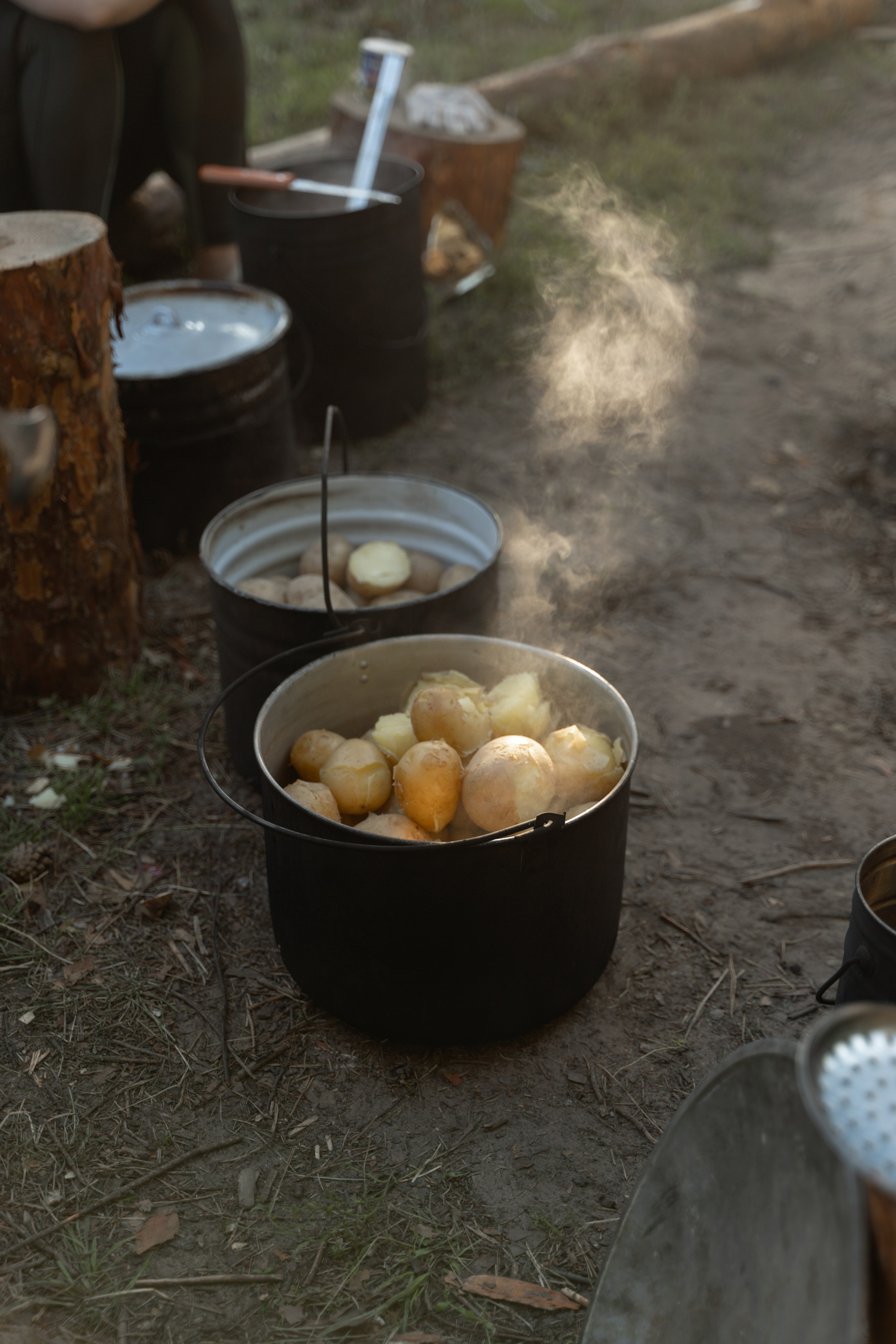 Эко-сборы добровольцев «О! Пушка» в национальном парке «Мещерский» 2024. Фотограф Надежда Погребняк | Рязань | Москва