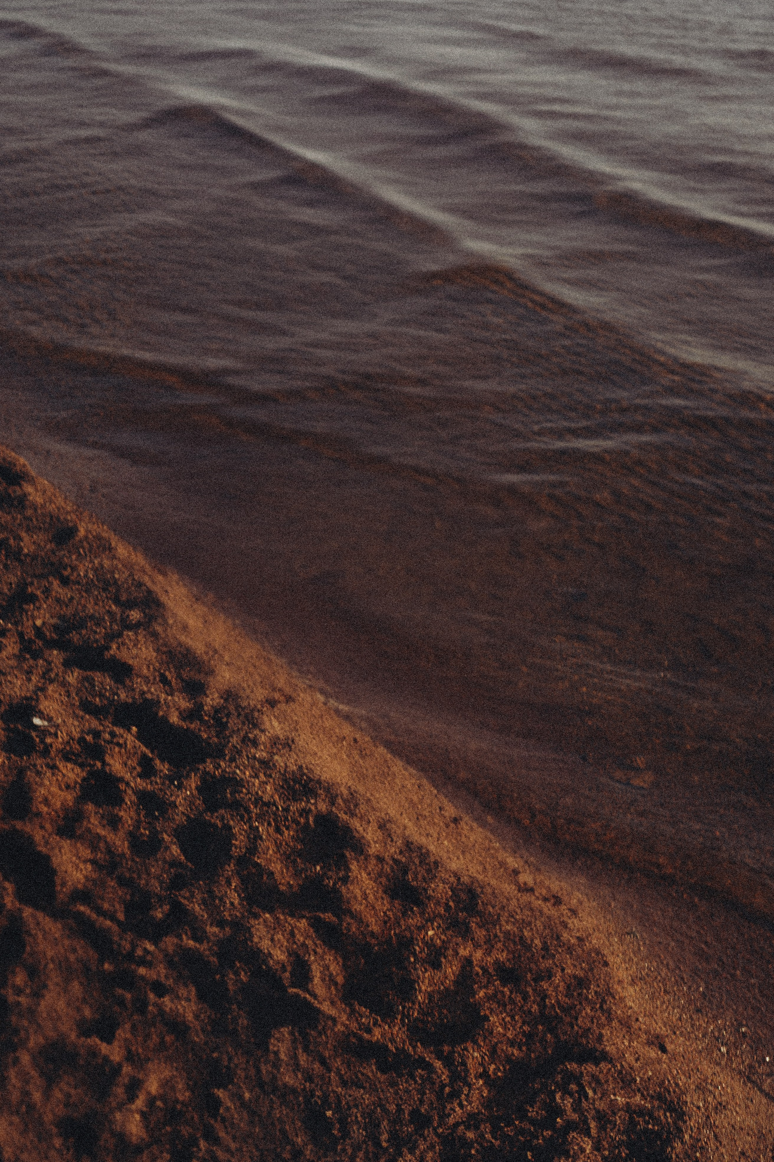 У ФИНСКОГО ЗАЛИВА. Профессиональный фотограф, Санкт-Петербург — Виктория Богомолова