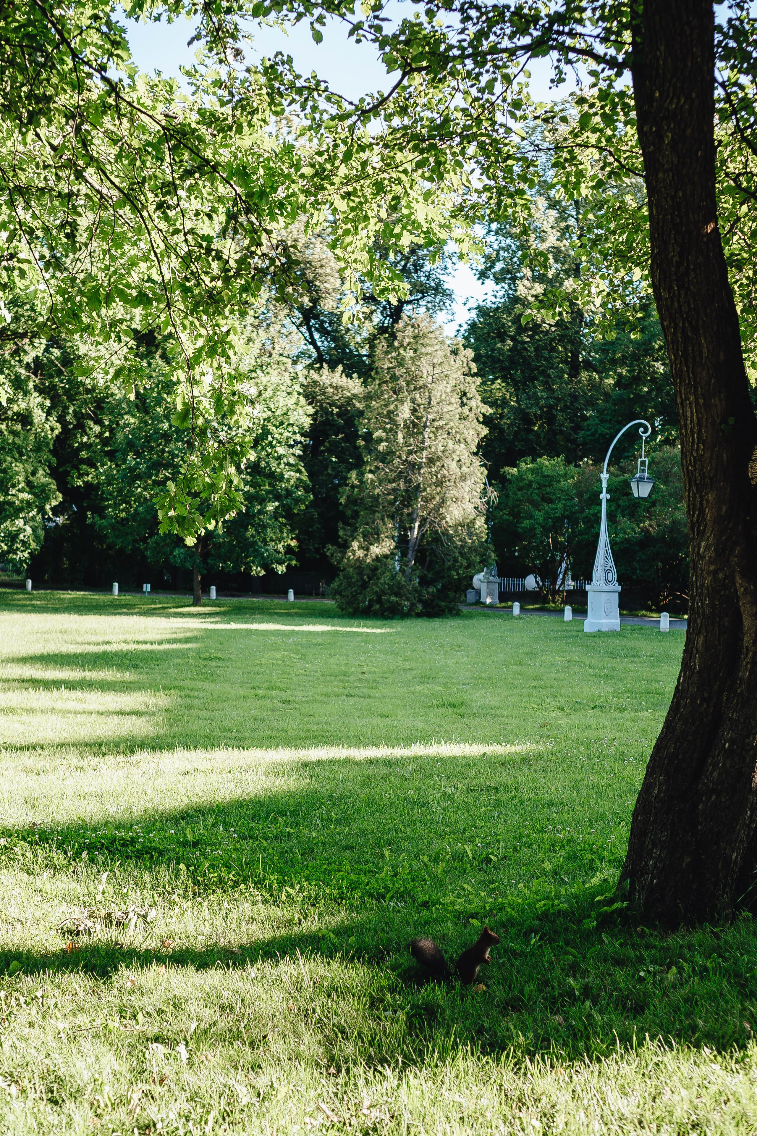 СВАДЕБНАЯ СЬЕМКА НА РАССВЕТЕ НА ЕЛАГИНОМ ОСТОРОВЕ. Профессиональный фотограф, Санкт-Петербург — Виктория Богомолова