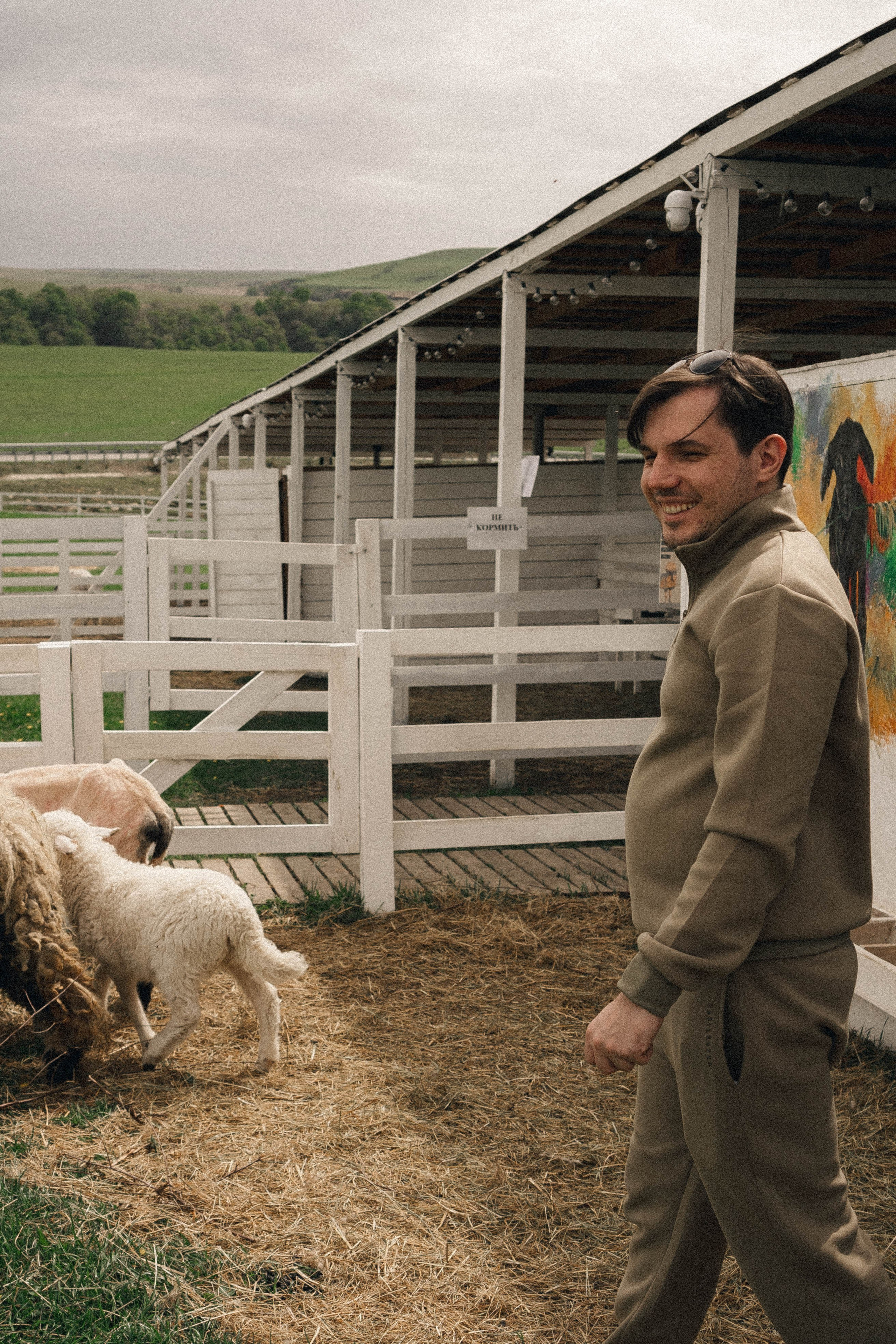 Ферма Альпак. Профессиональный фотограф, Санкт-Петербург — Виктория Богомолова