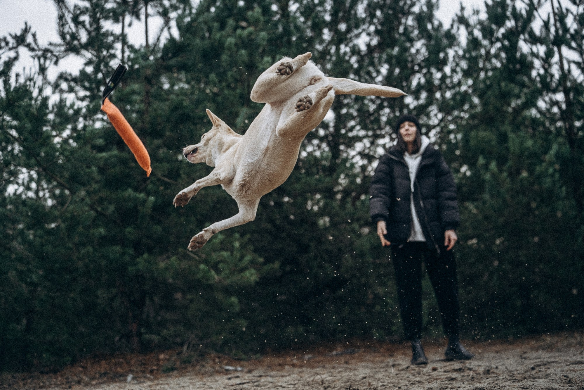 Туся. Фотограф анималист в Москве и Санкт-Петербурге Свиридова Анна