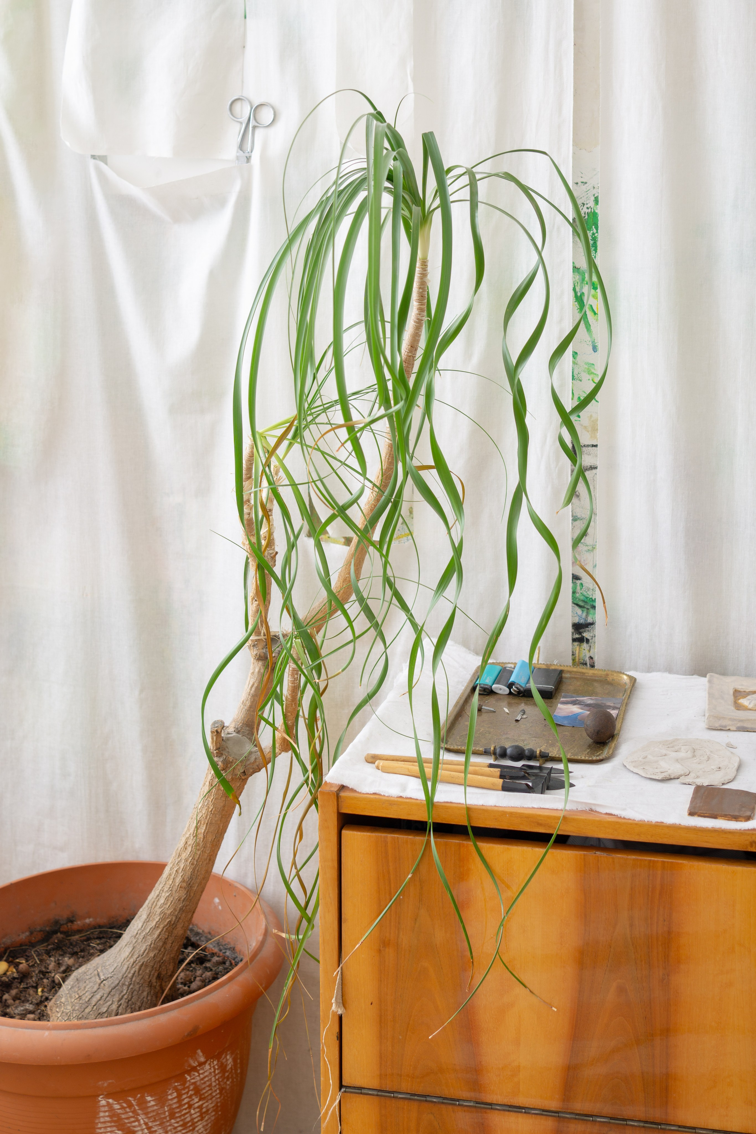 Varya. Maria Abdullaeva