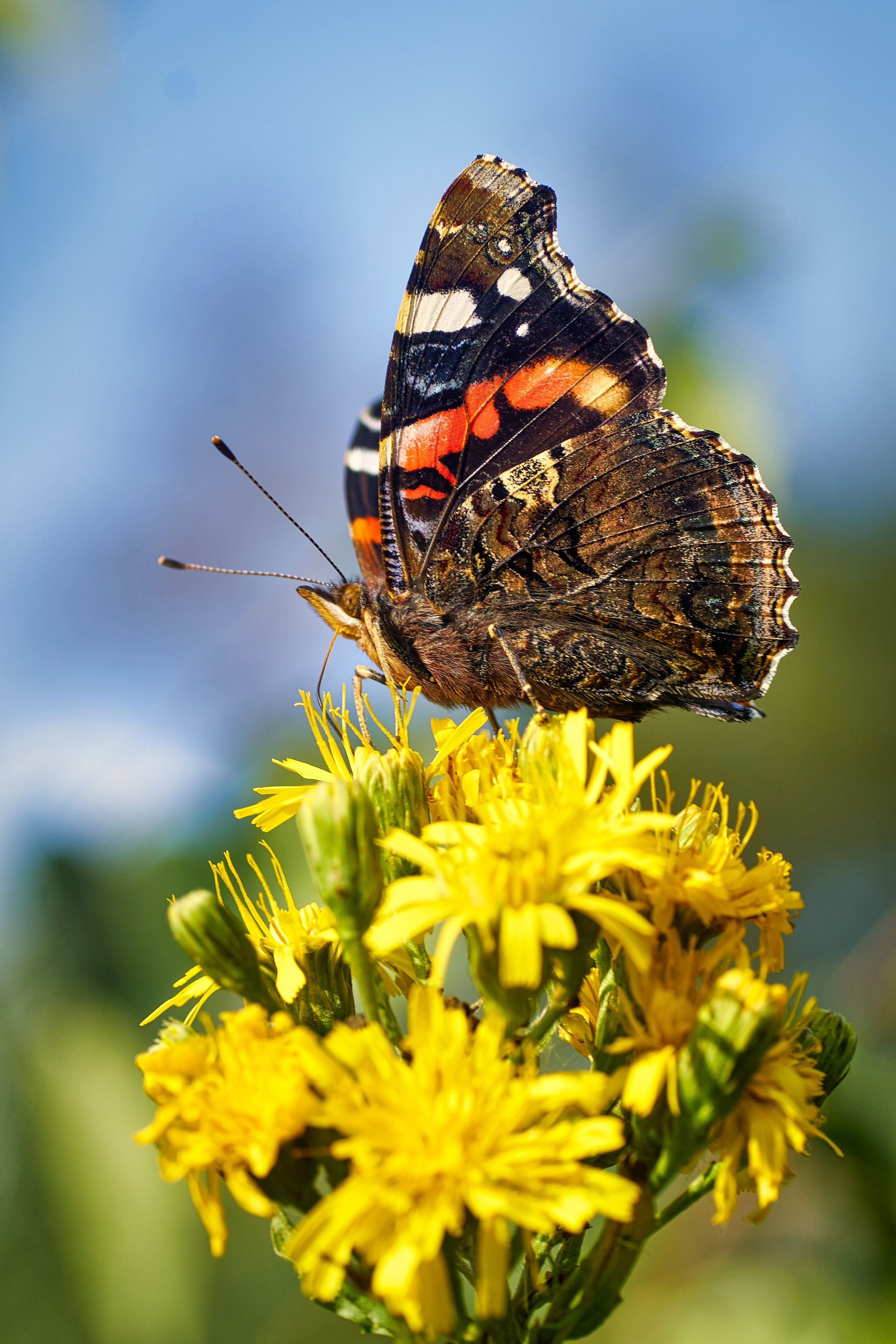 Наша мать — природа. Фотограф Владимир Артамонов