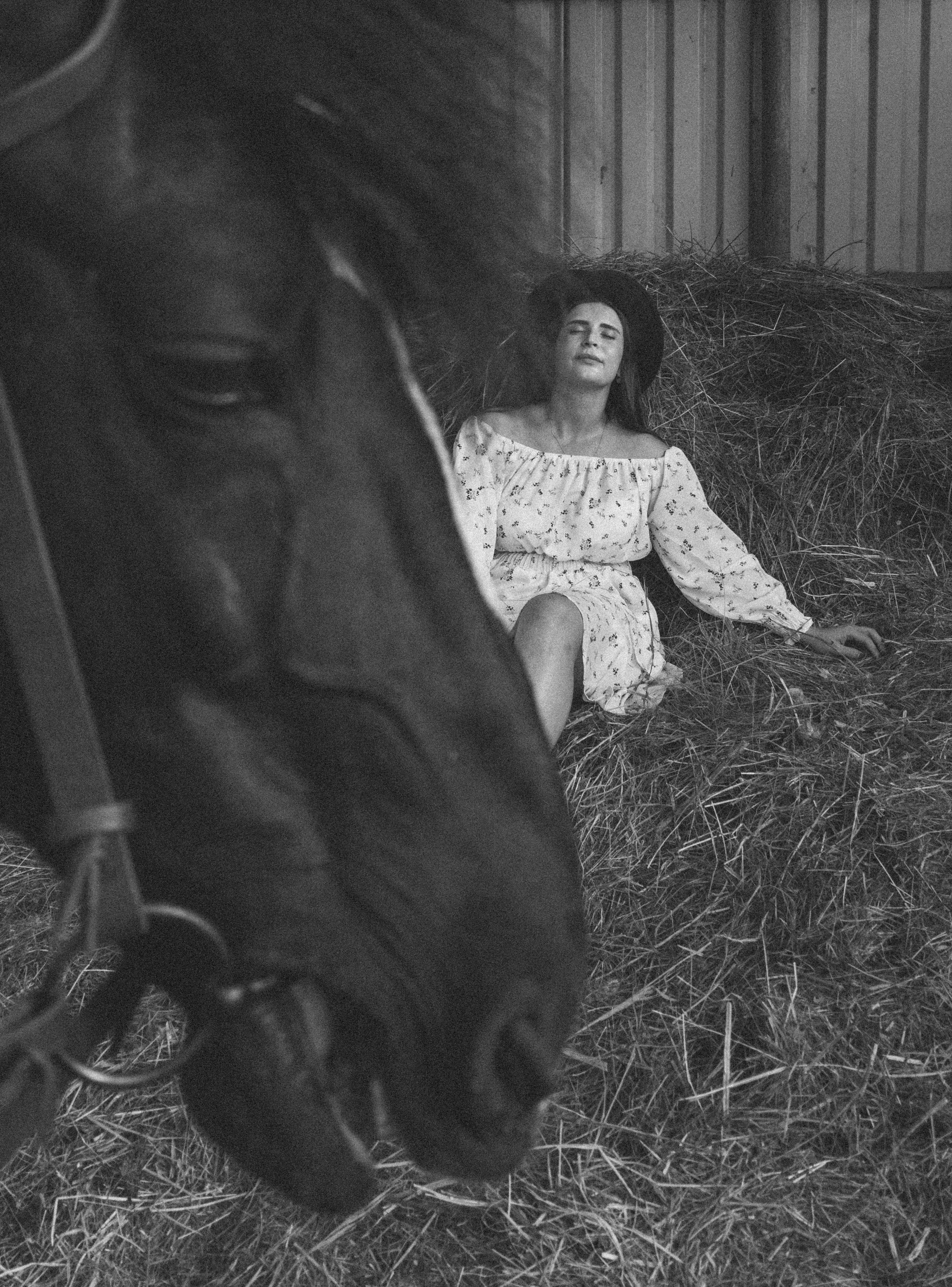 На конюшне. Фотограф Ксения Соколова — портретная, свадебная и семейная съемки в Барнауле