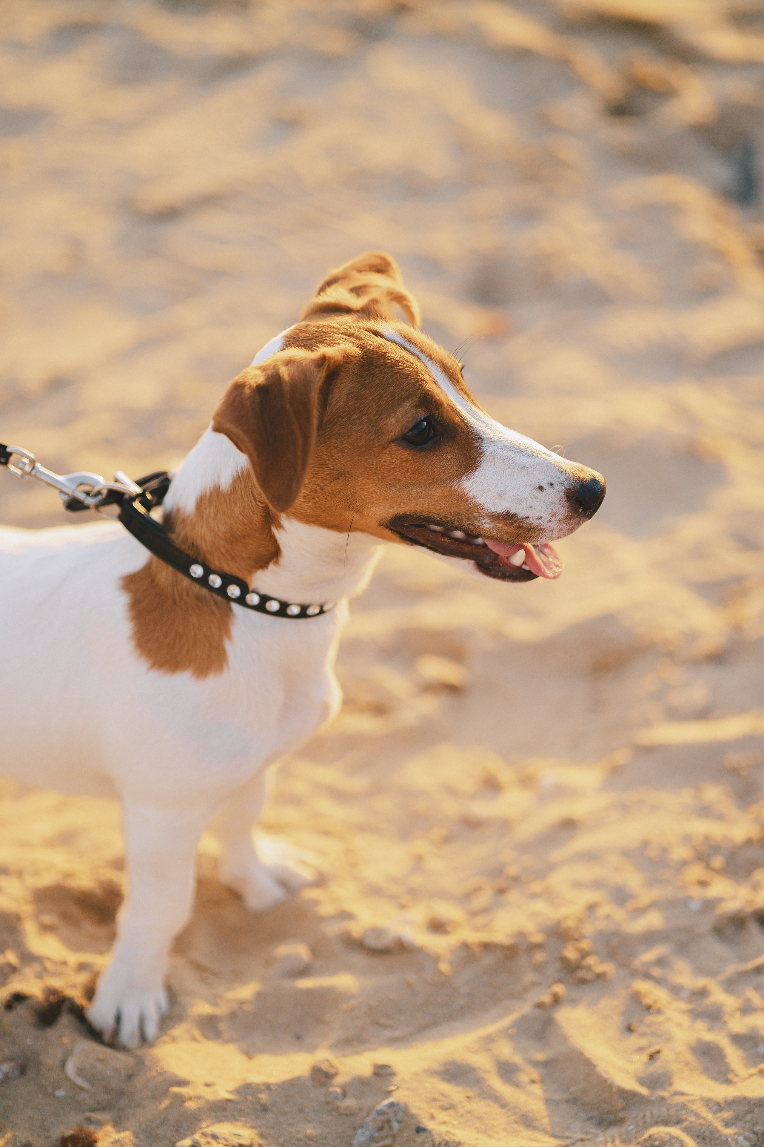 Василиса и Алексей. Фотограф Таганрог Любимая Надя