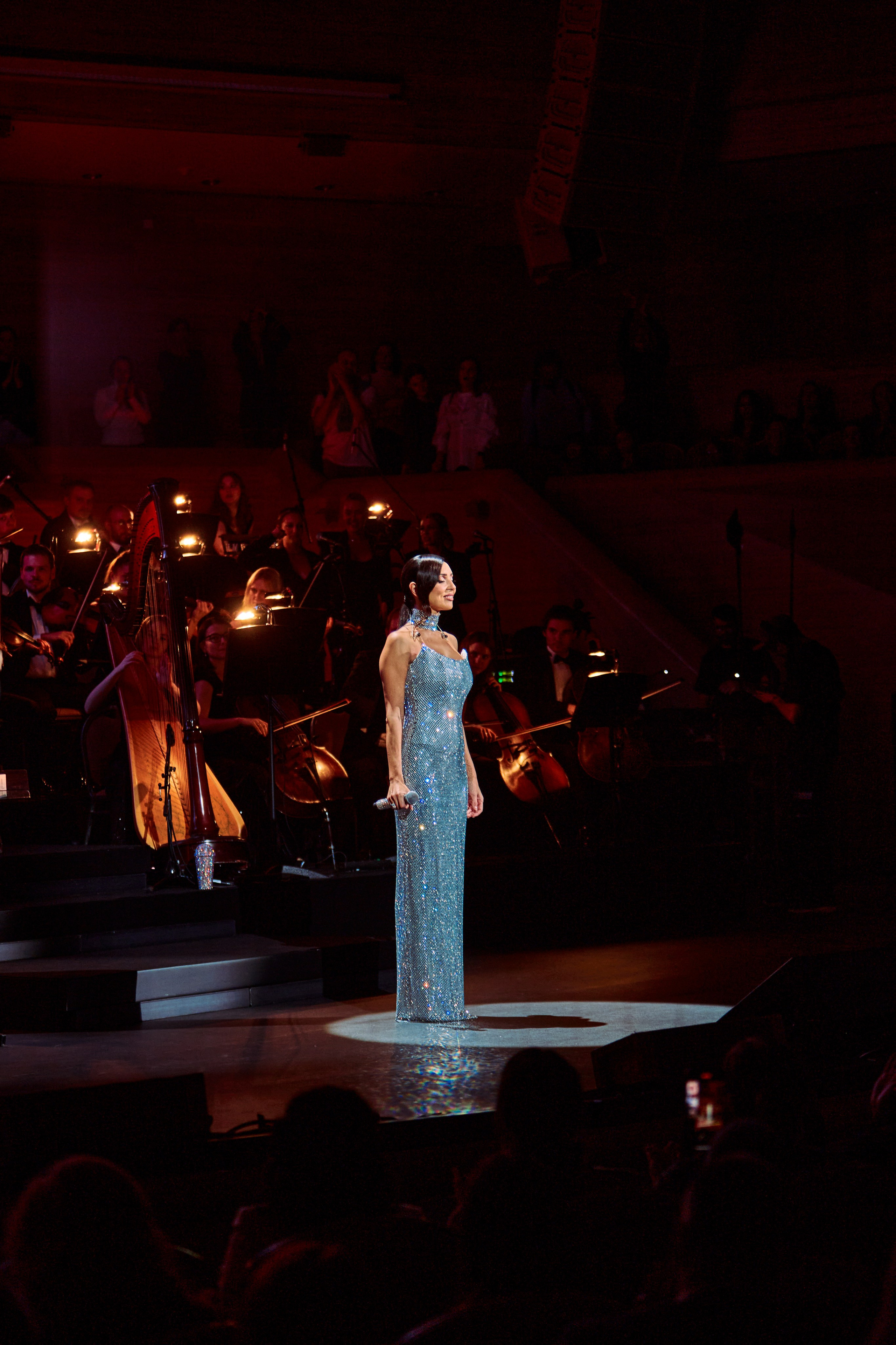 Concert. Репортажный фотограф, портретный фотограф  г. Москва