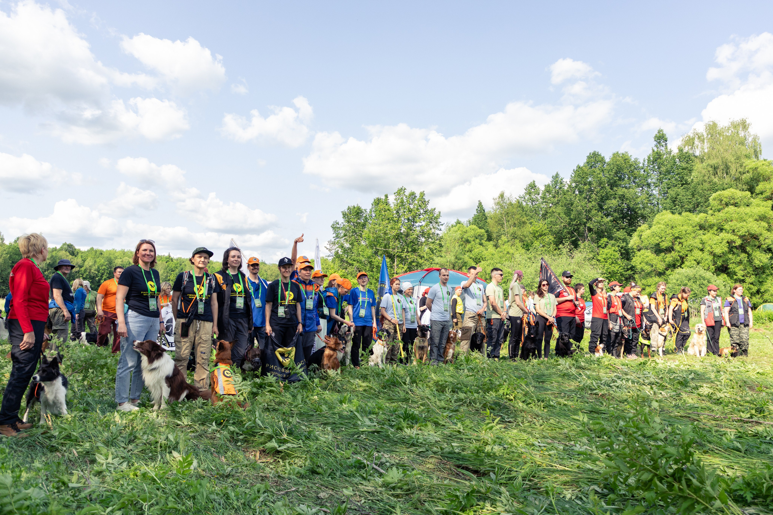 ДПСО «ЛизаАлерт». Главная