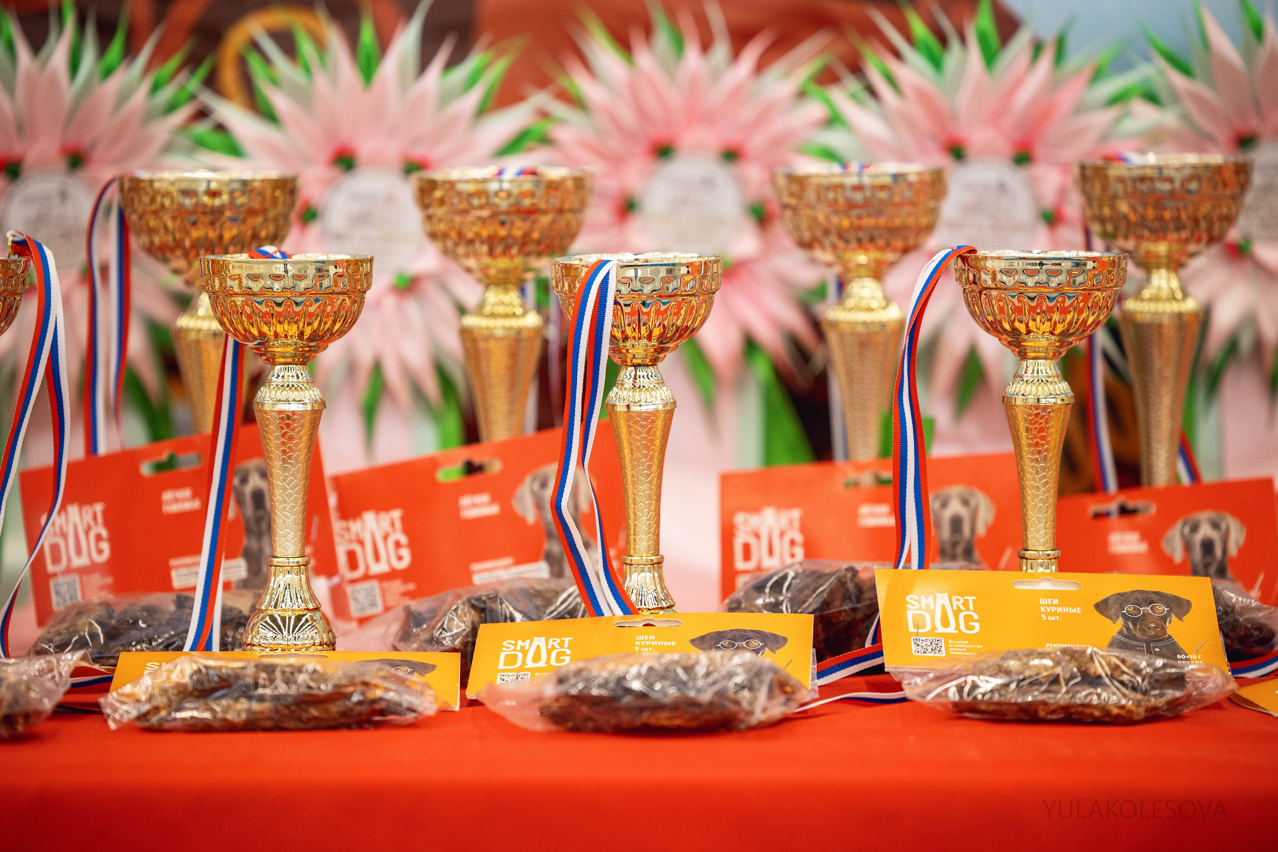 5.05.2024. YULA KOLESOVA | Фотограф — Анималист | Художник | Тюмень