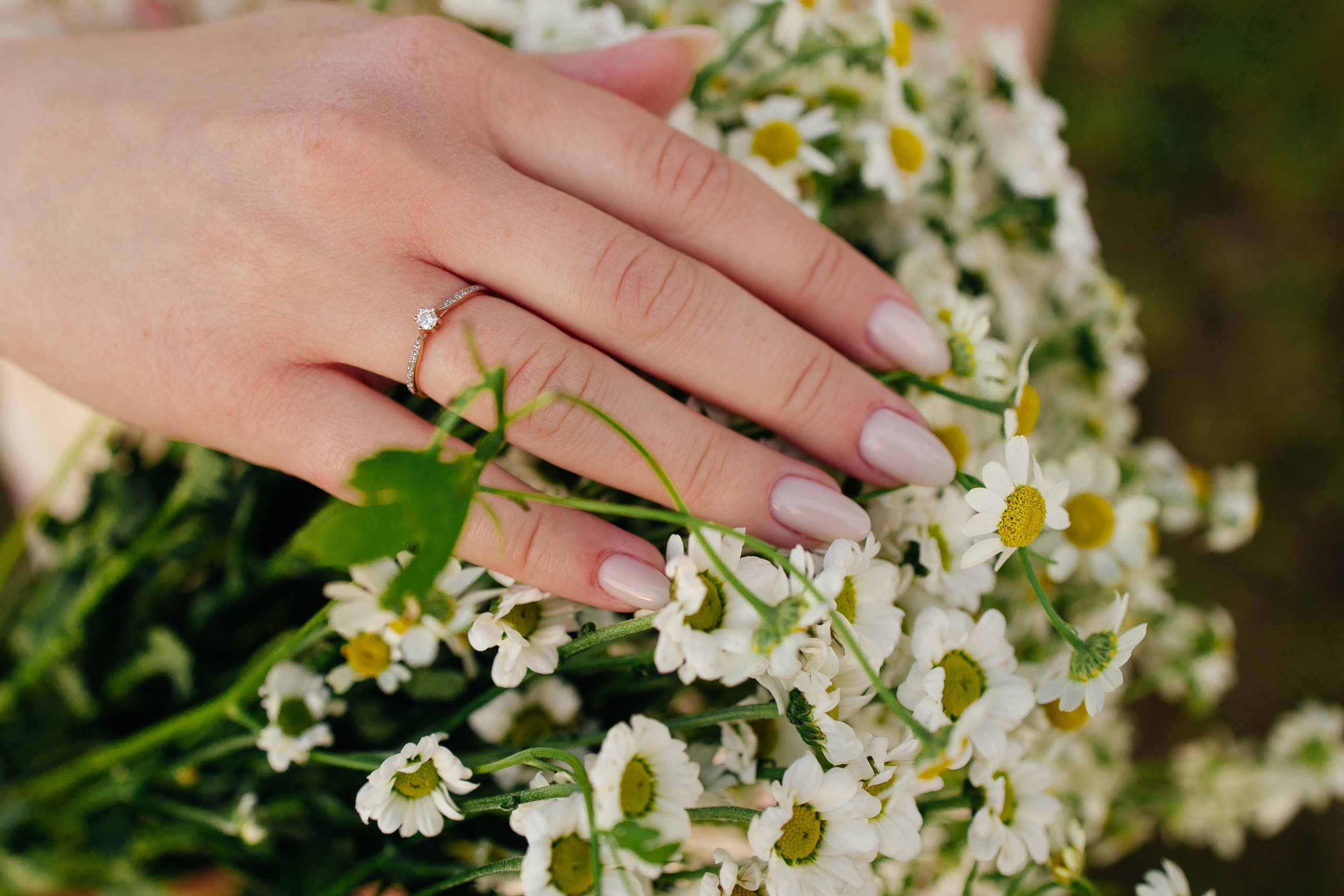 анисина анна,лучший фотограф в иваново,недорогой фотограф в иваново,семейная фотосессия,лав стори в иваново,love story иваново,фотограф в иваново,фотограф для семейной фотосессии 