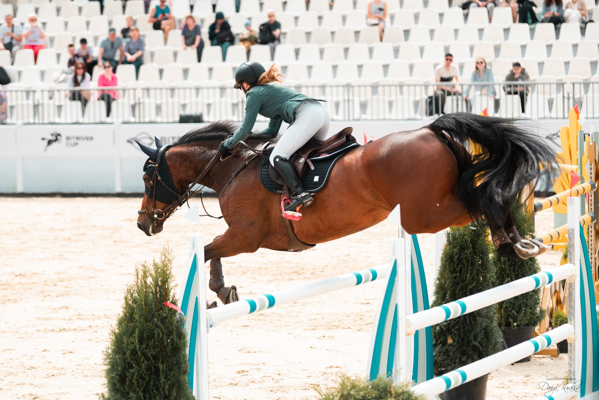 BITRIVER CUP 2023. Конный фотограф Куракина Дарья • Фотосессии с лошадьми