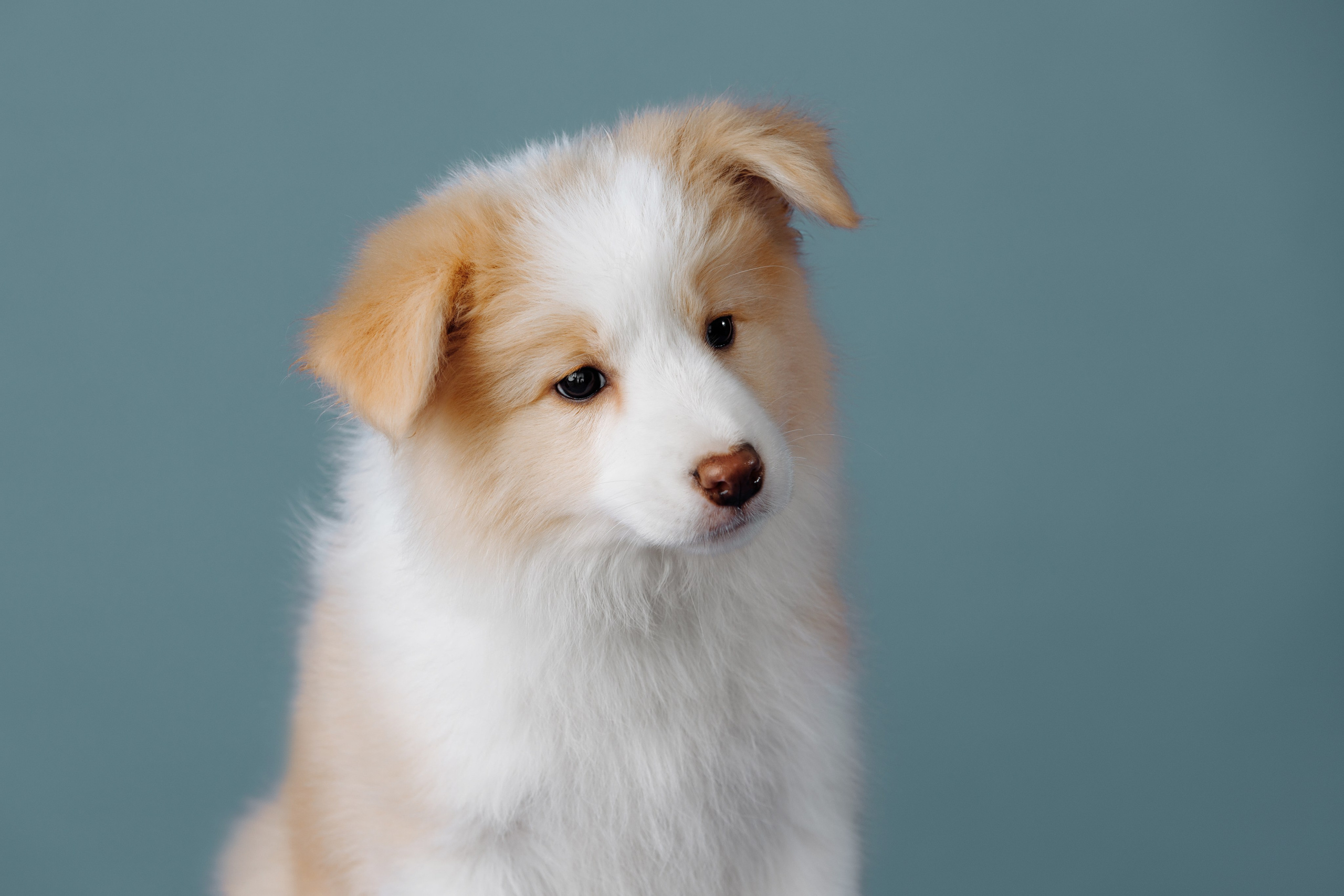 Март. Весна. 22. О нас