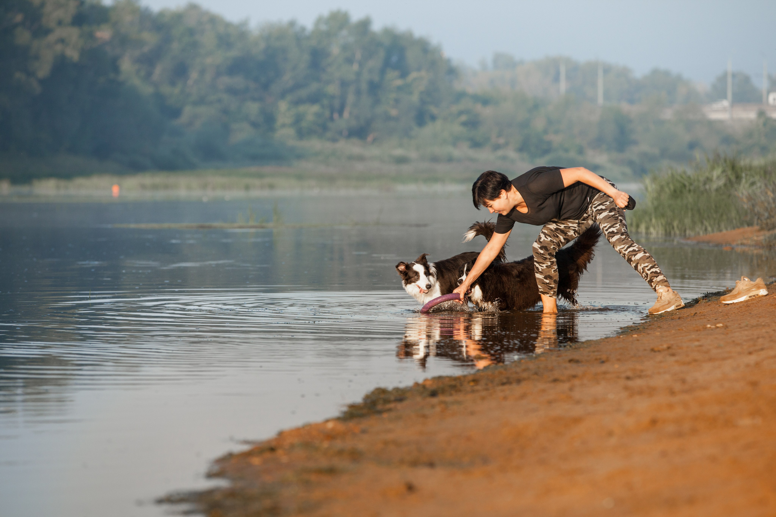 Сочный рассвет, на который решились. О нас