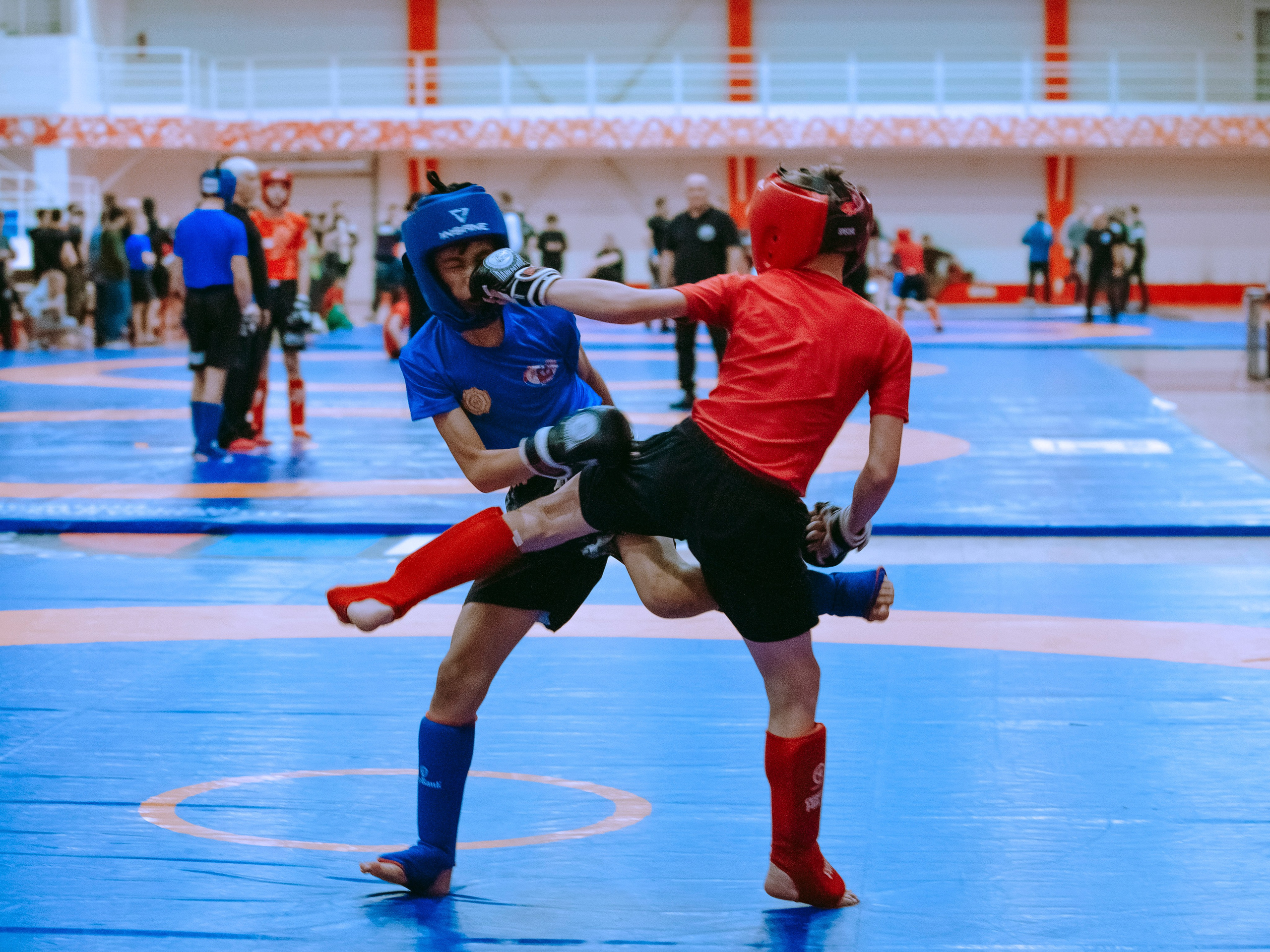 Кубок России по спортивной борьбе панкратион `23. Портретный фотограф в Москве Дарья Цезария