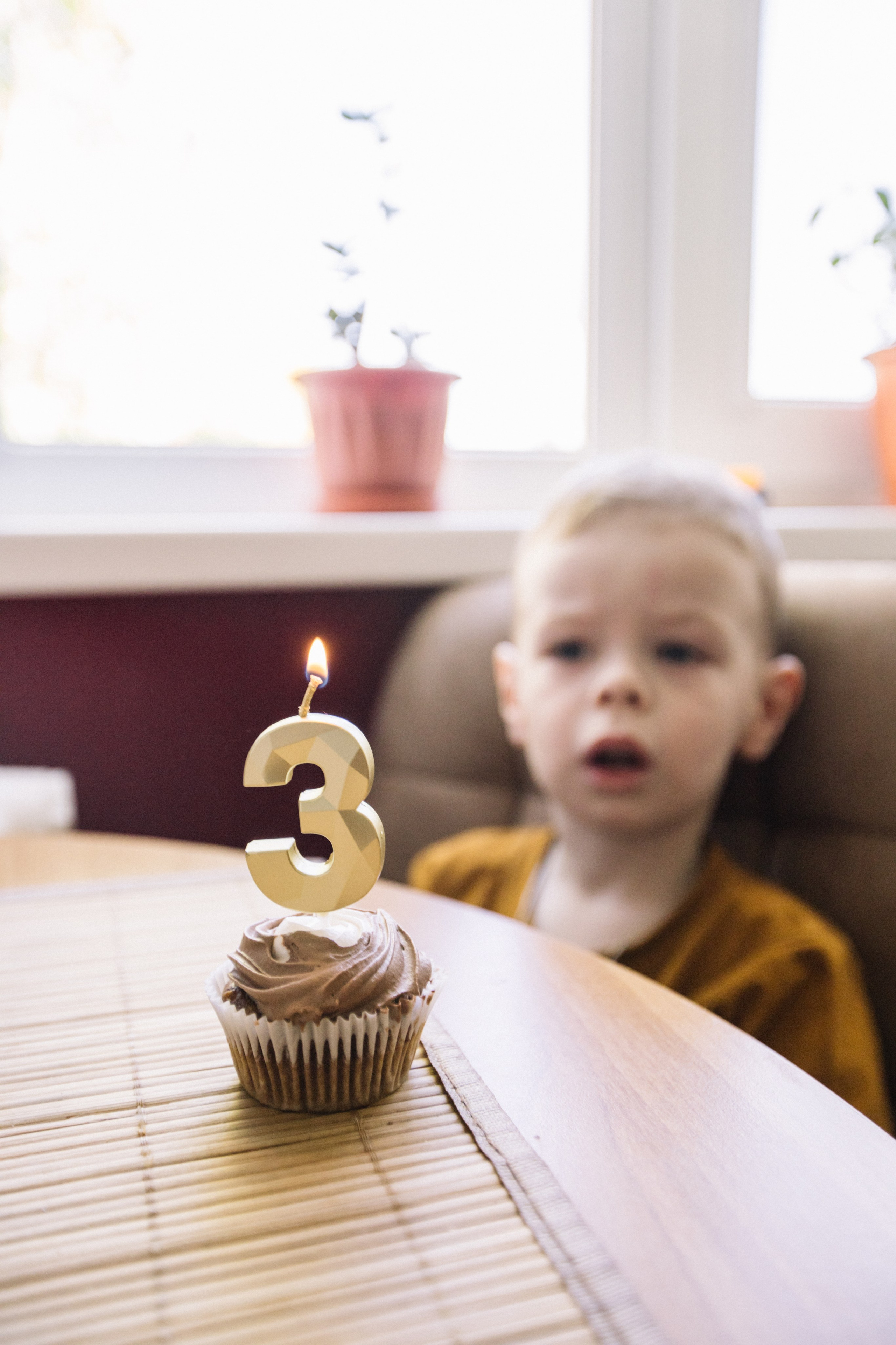 Ярослав + Юля + Егор. Главная